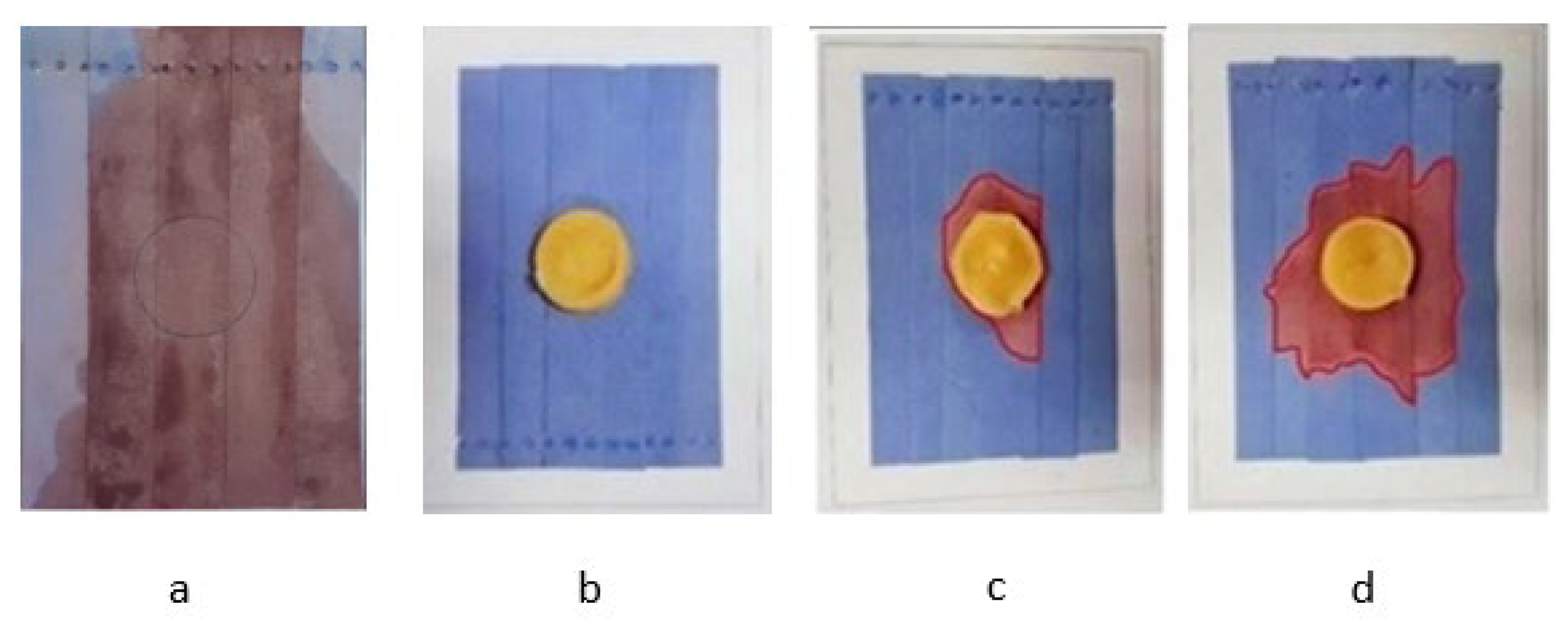 Coatings 13 01606 g003 Coatings 13 01606 g003