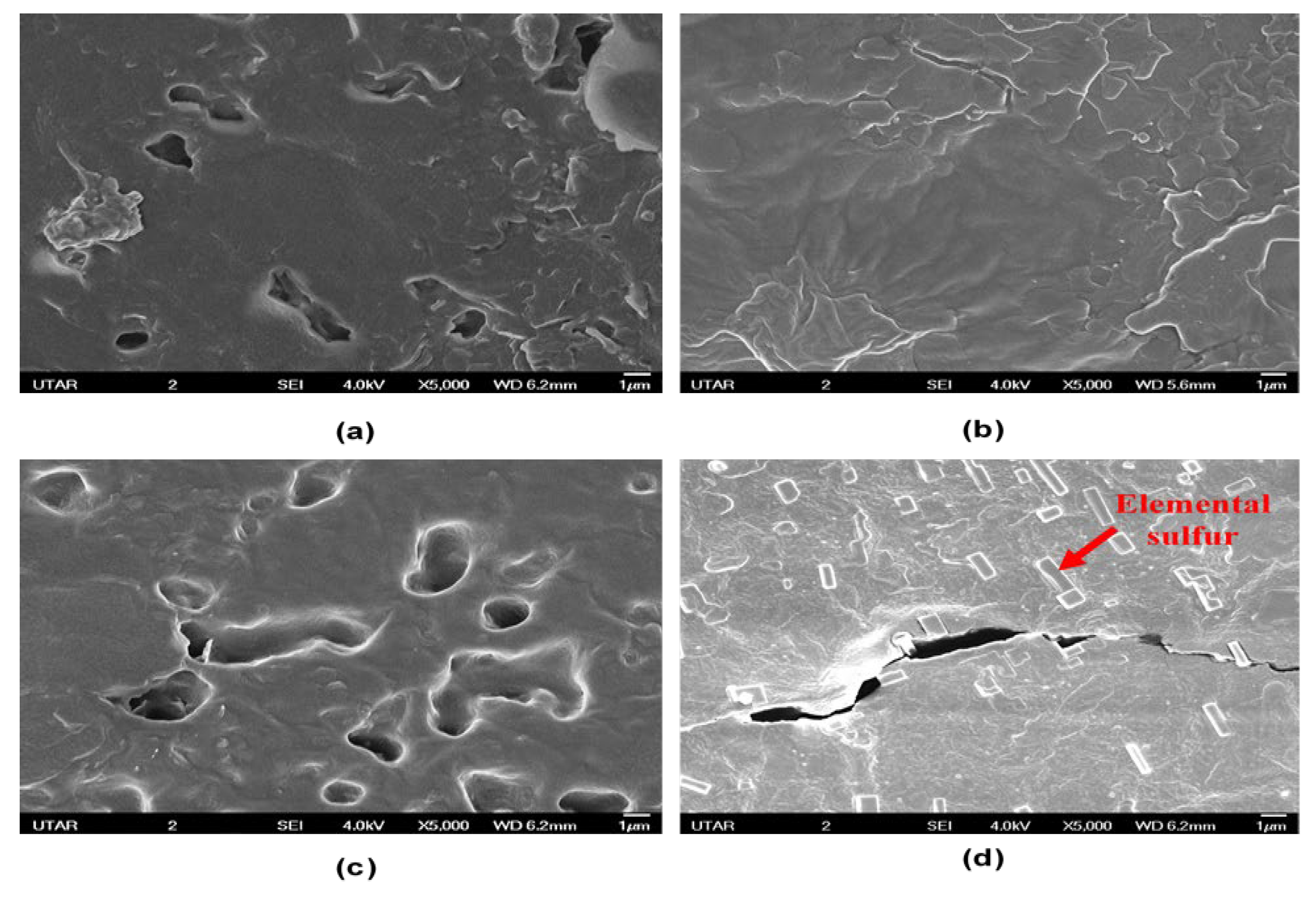 Coatings 13 01606 g006 Coatings 13 01606 g006
