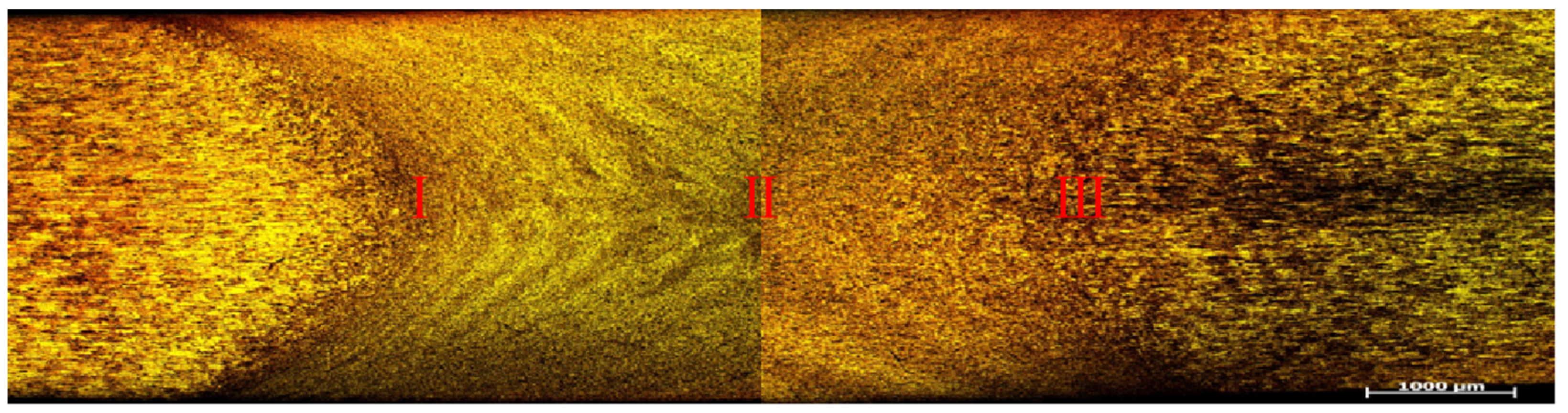 Coatings 13 01607 g009