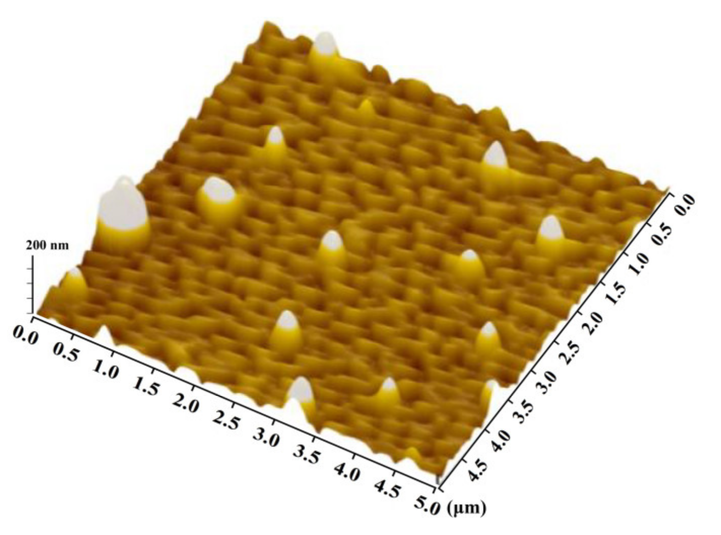 Coatings 13 01610 g003