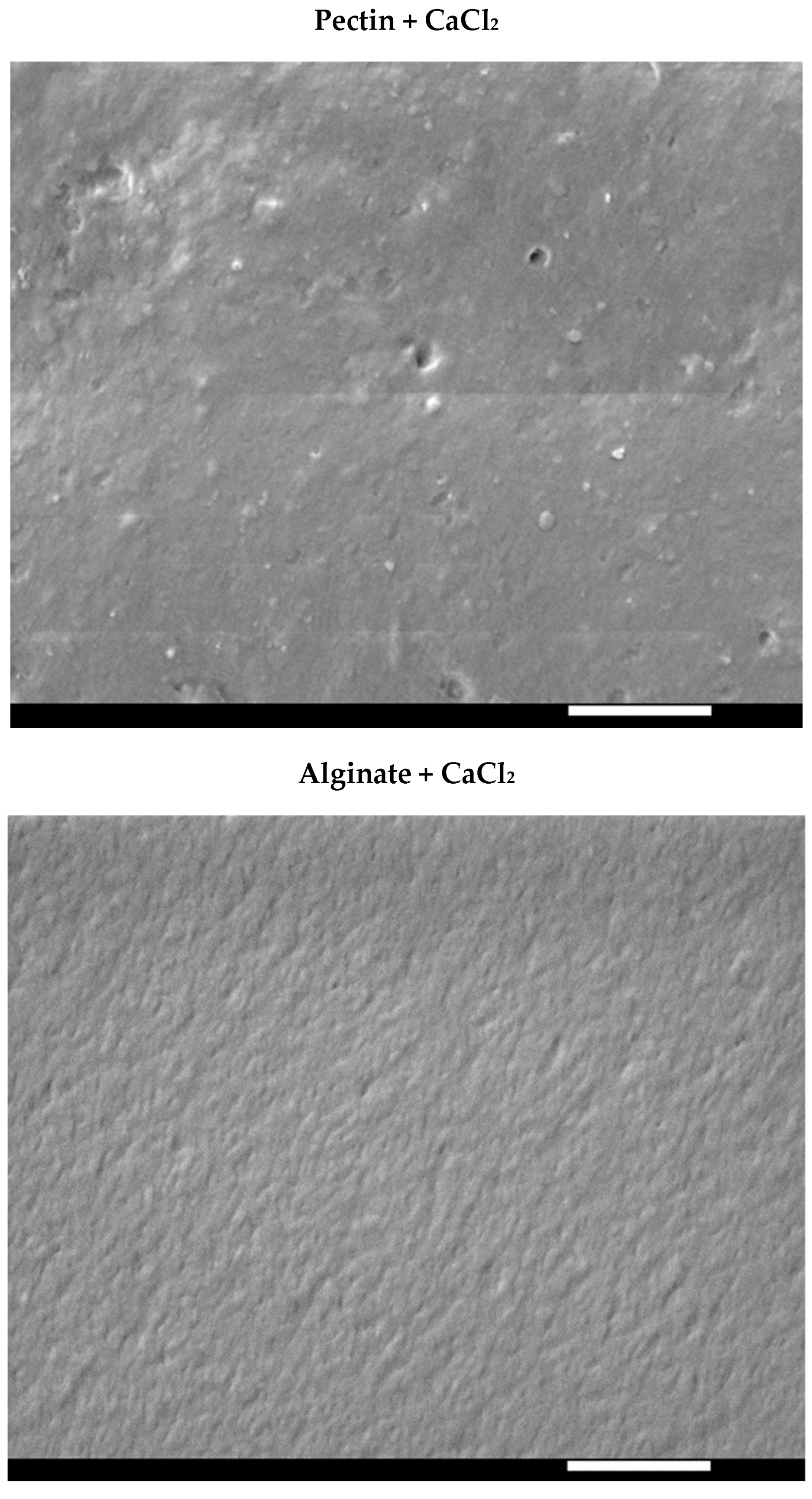 Coatings 13 01611 g005a