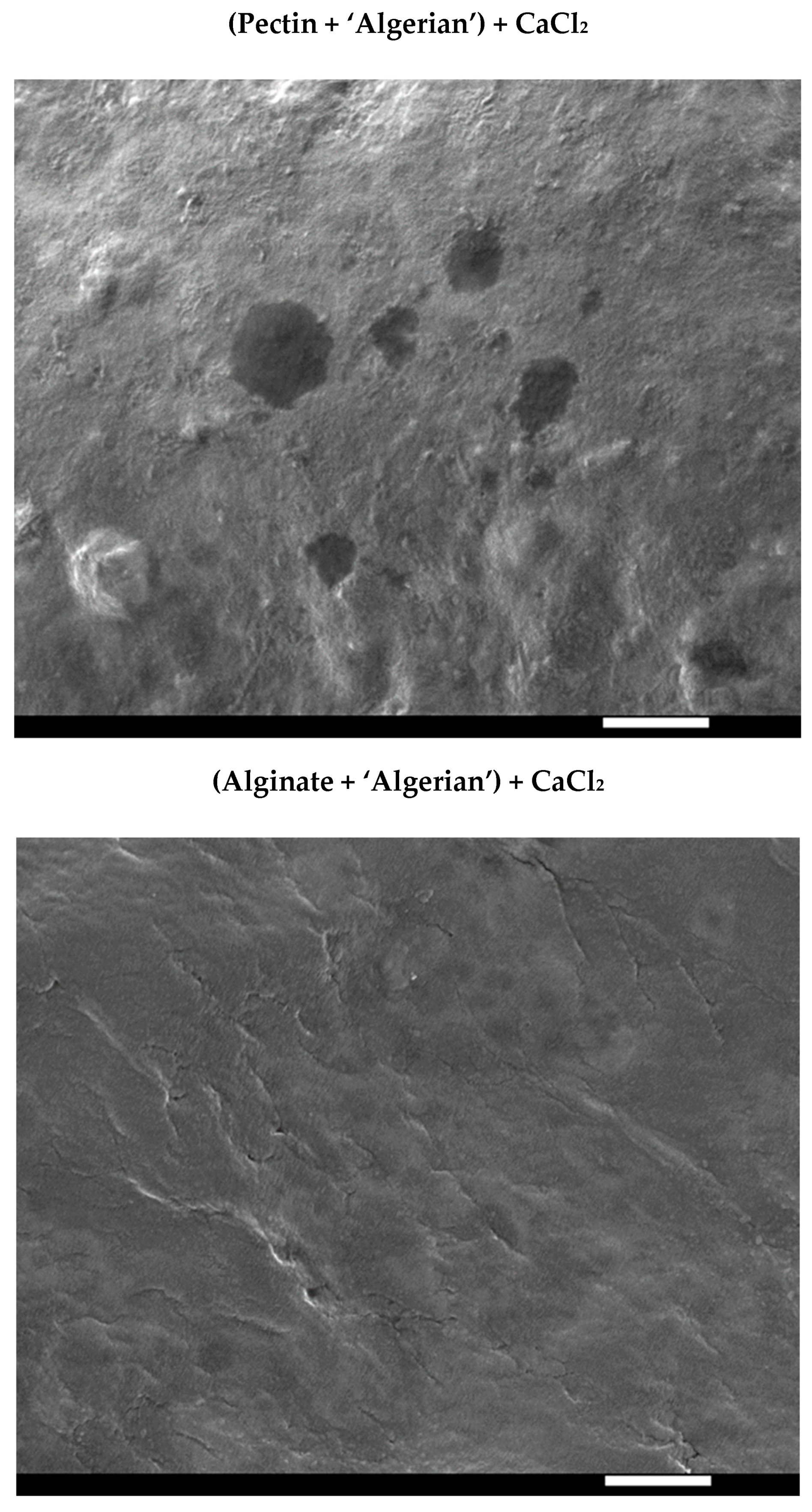 Coatings 13 01611 g005b