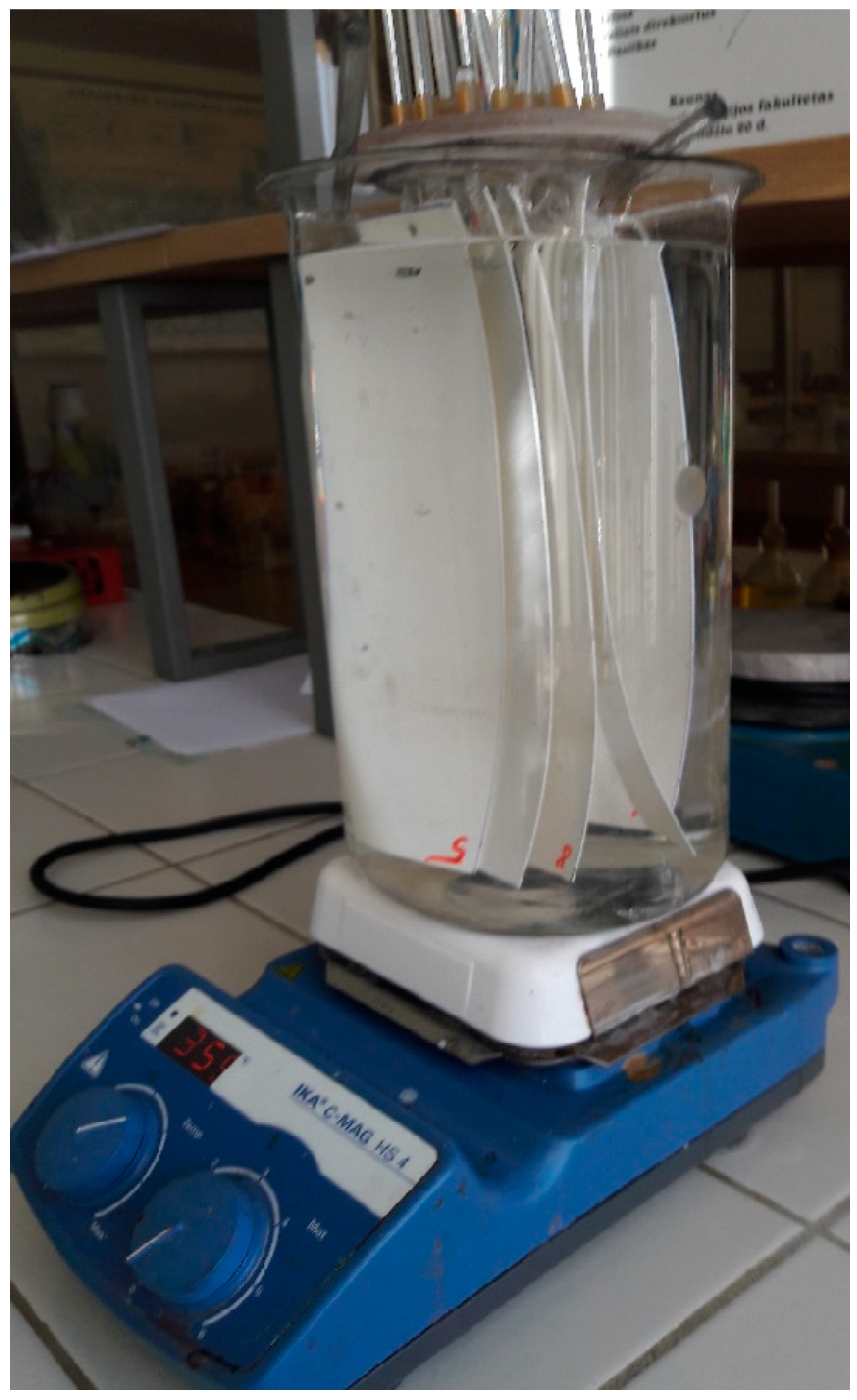 Coatings 13 01613 g003