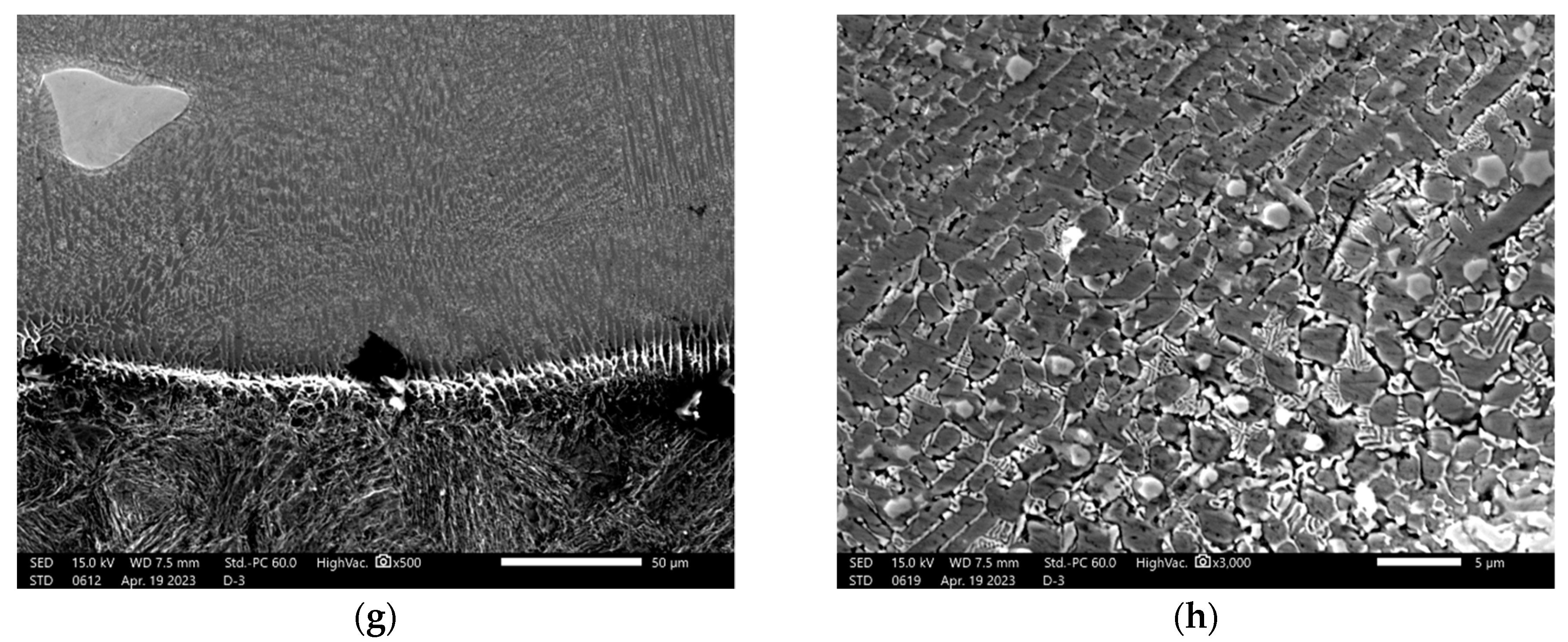 Coatings 13 01614 g004b