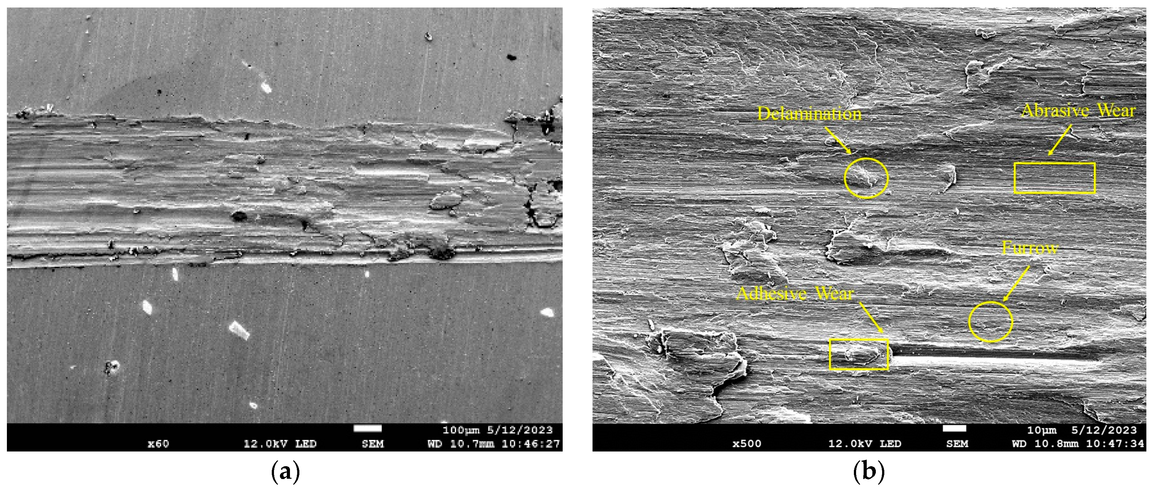 Coatings 13 01614 g010