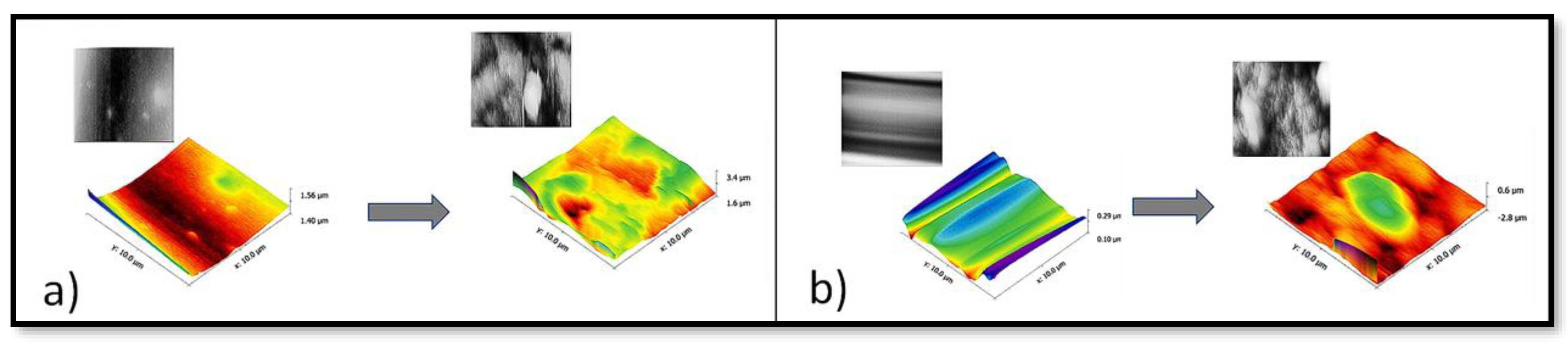 Coatings 13 01615 g005