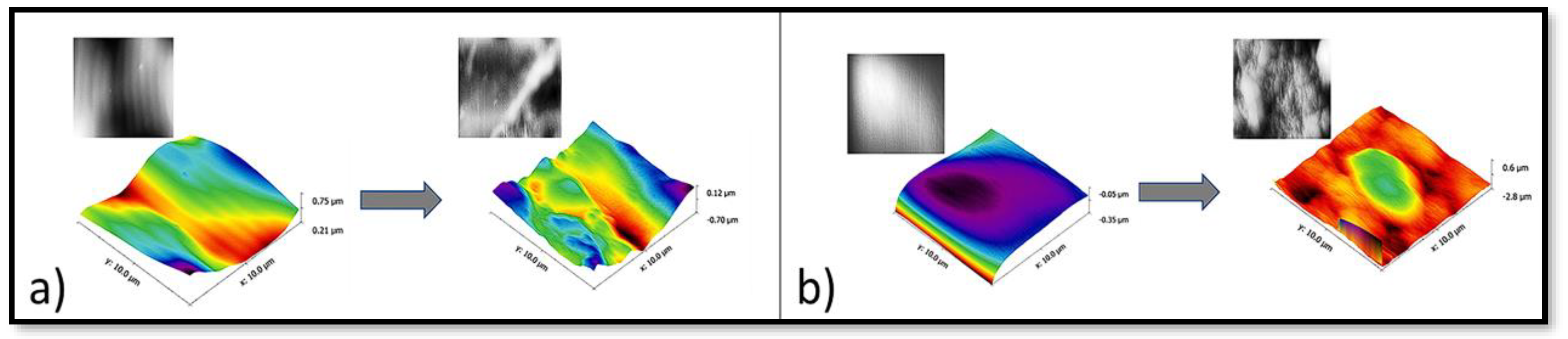 Coatings 13 01615 g007