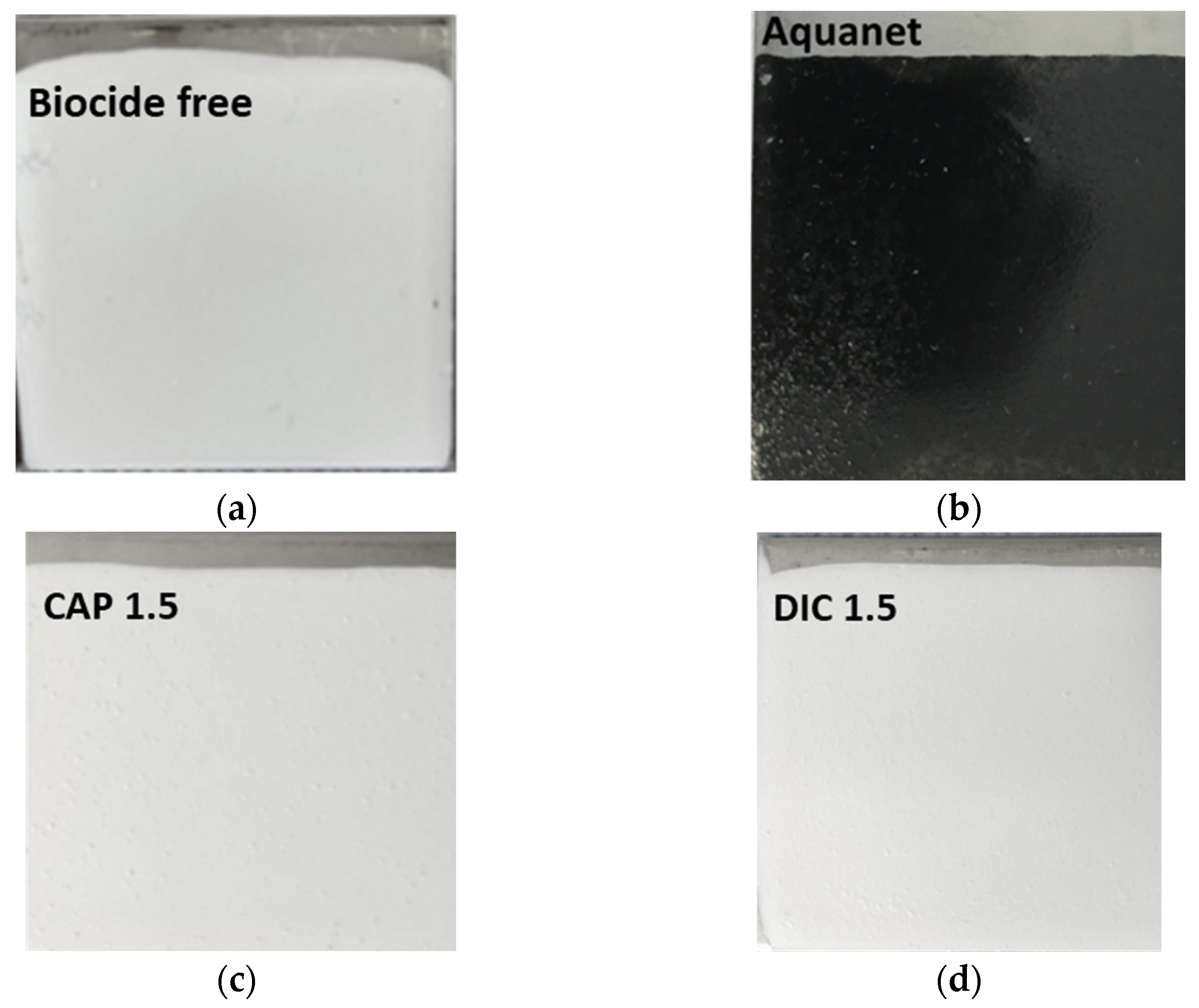 Coatings 13 01616 g001