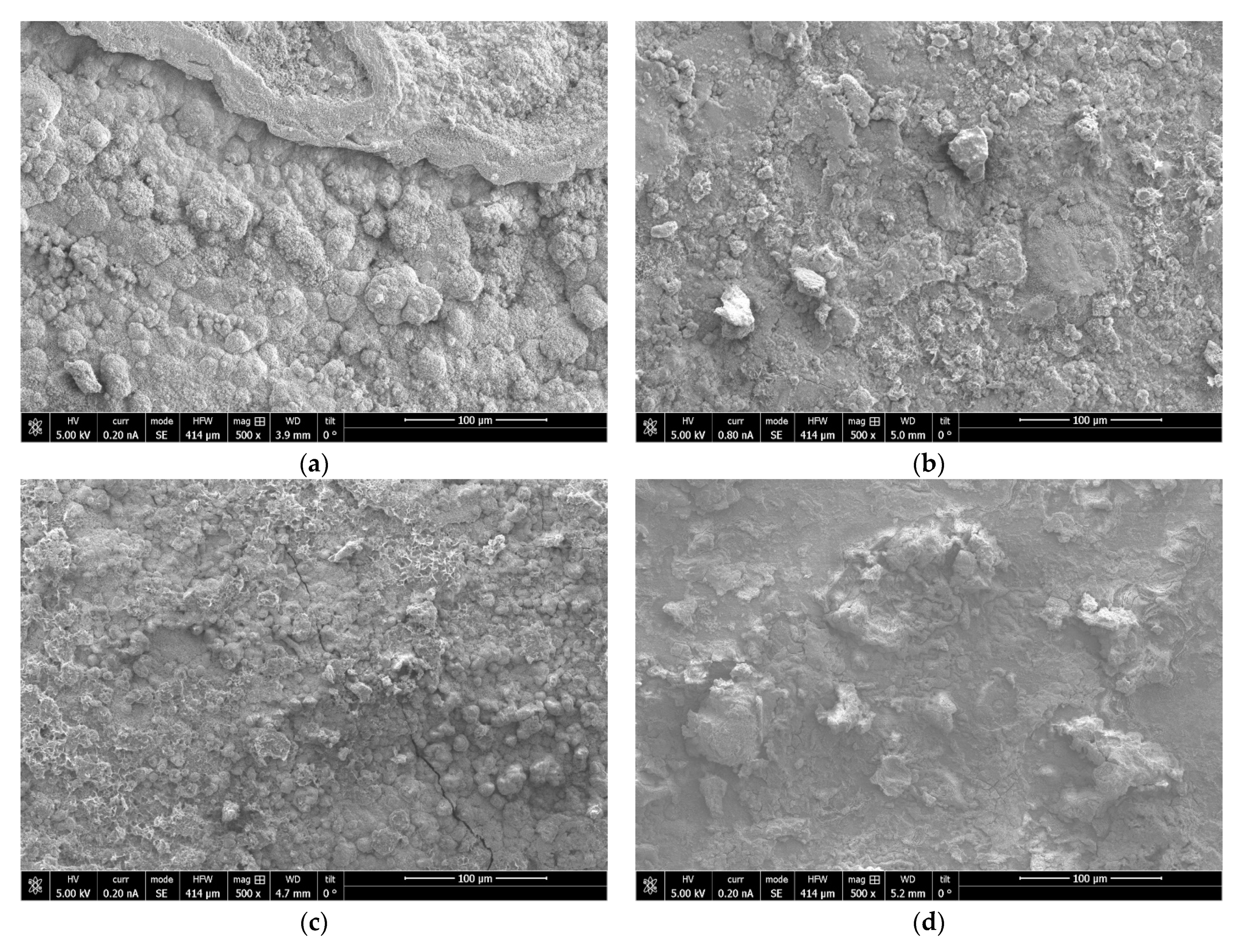Coatings 13 01617 g006