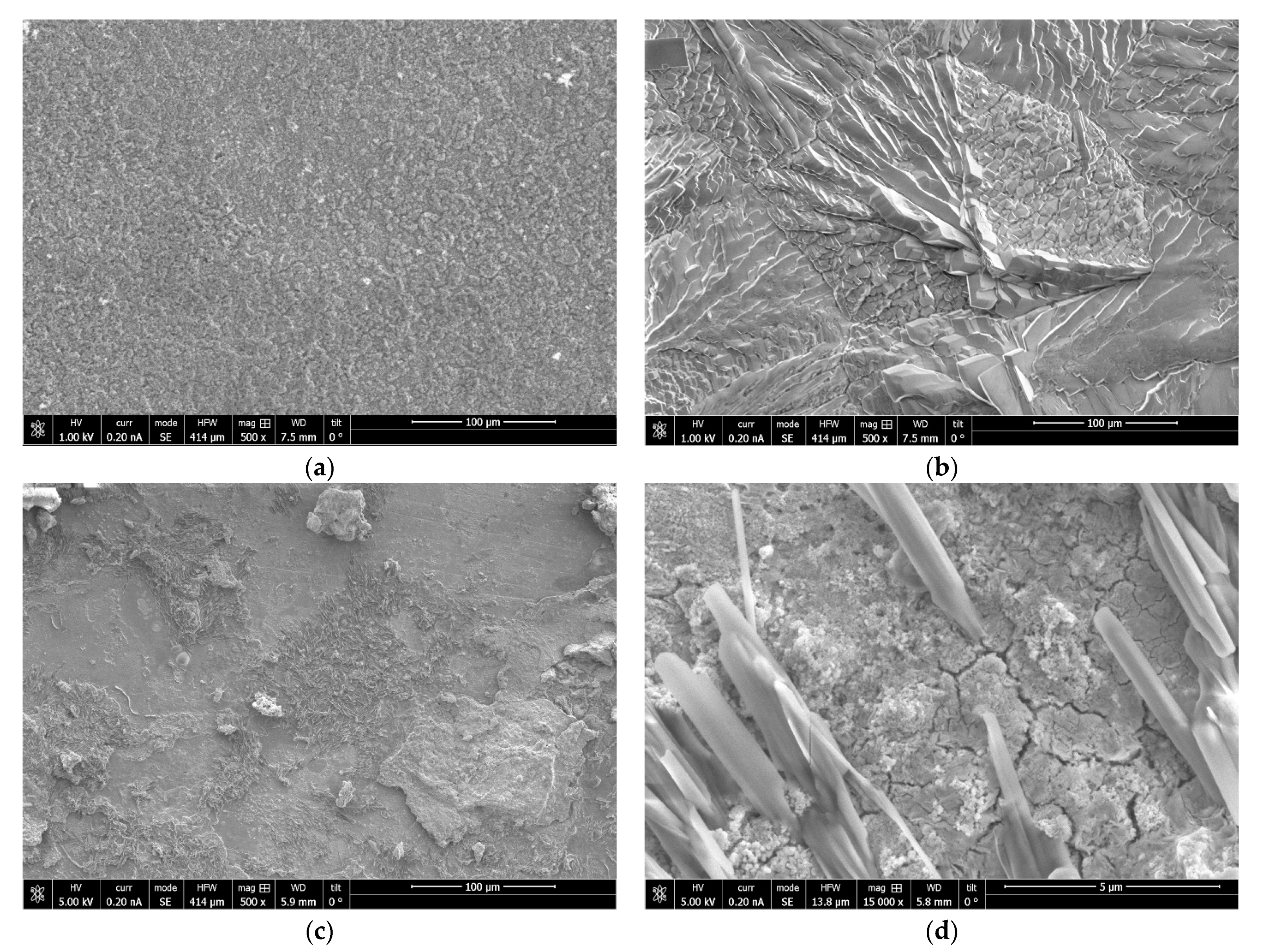 Coatings 13 01617 g007