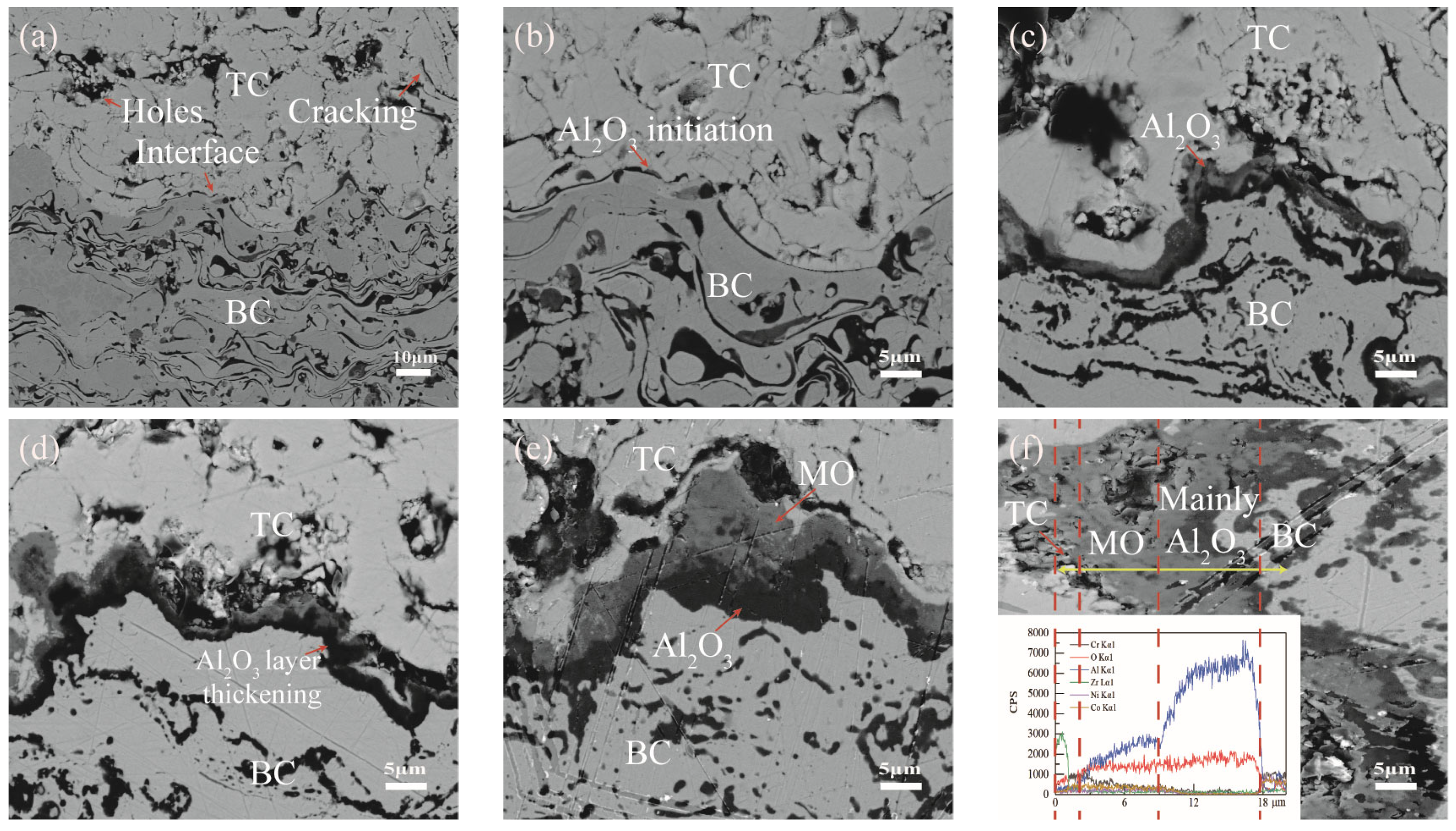 Coatings 13 01618 g005