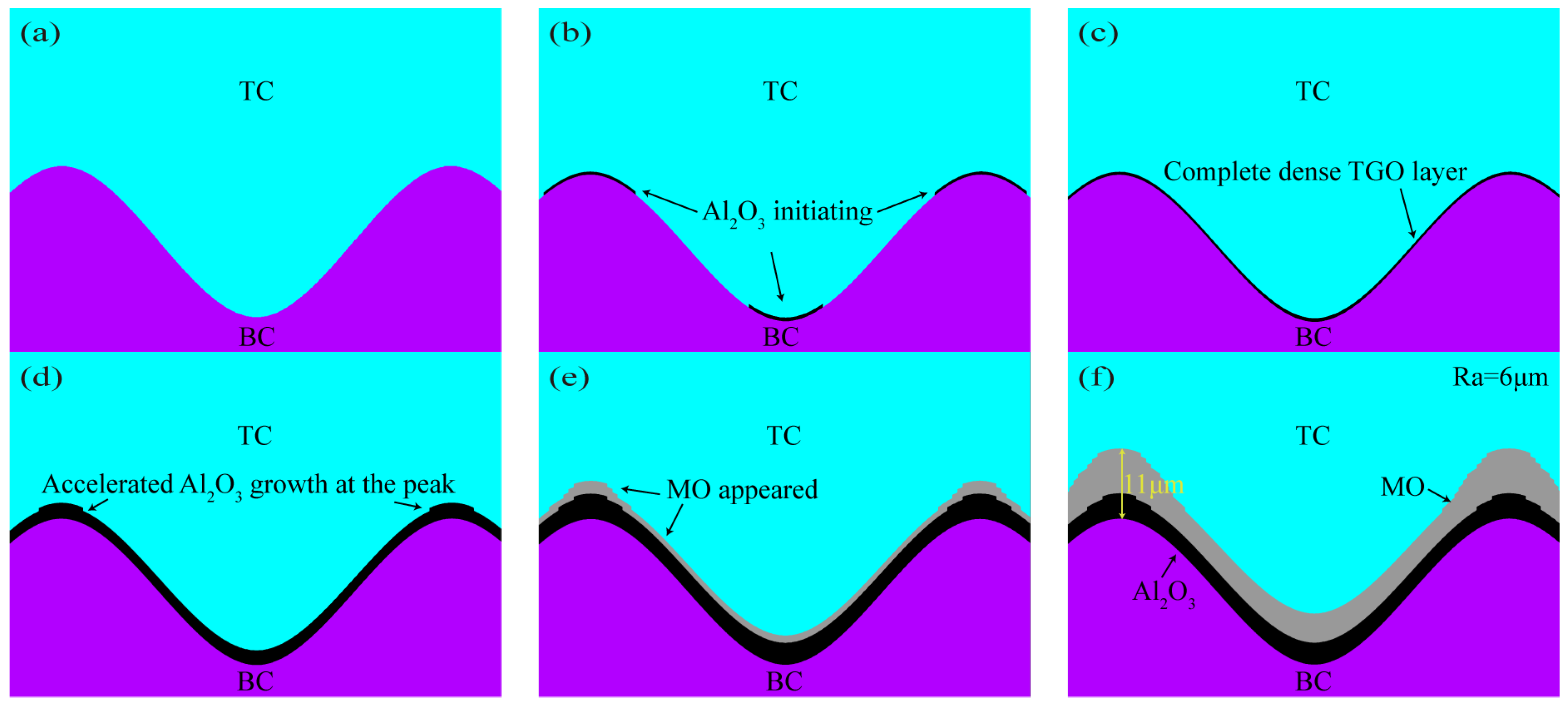 Coatings 13 01618 g008