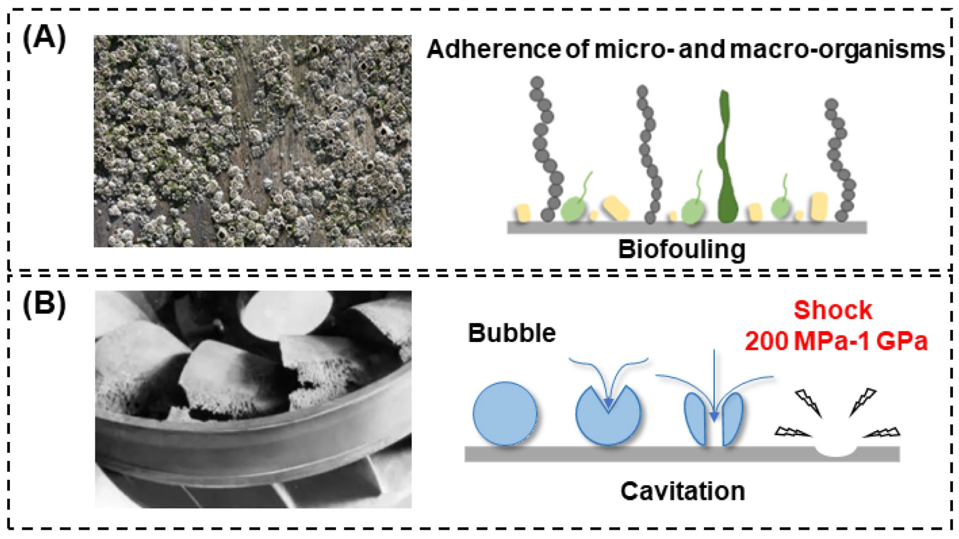 Coatings 13 01619 g001