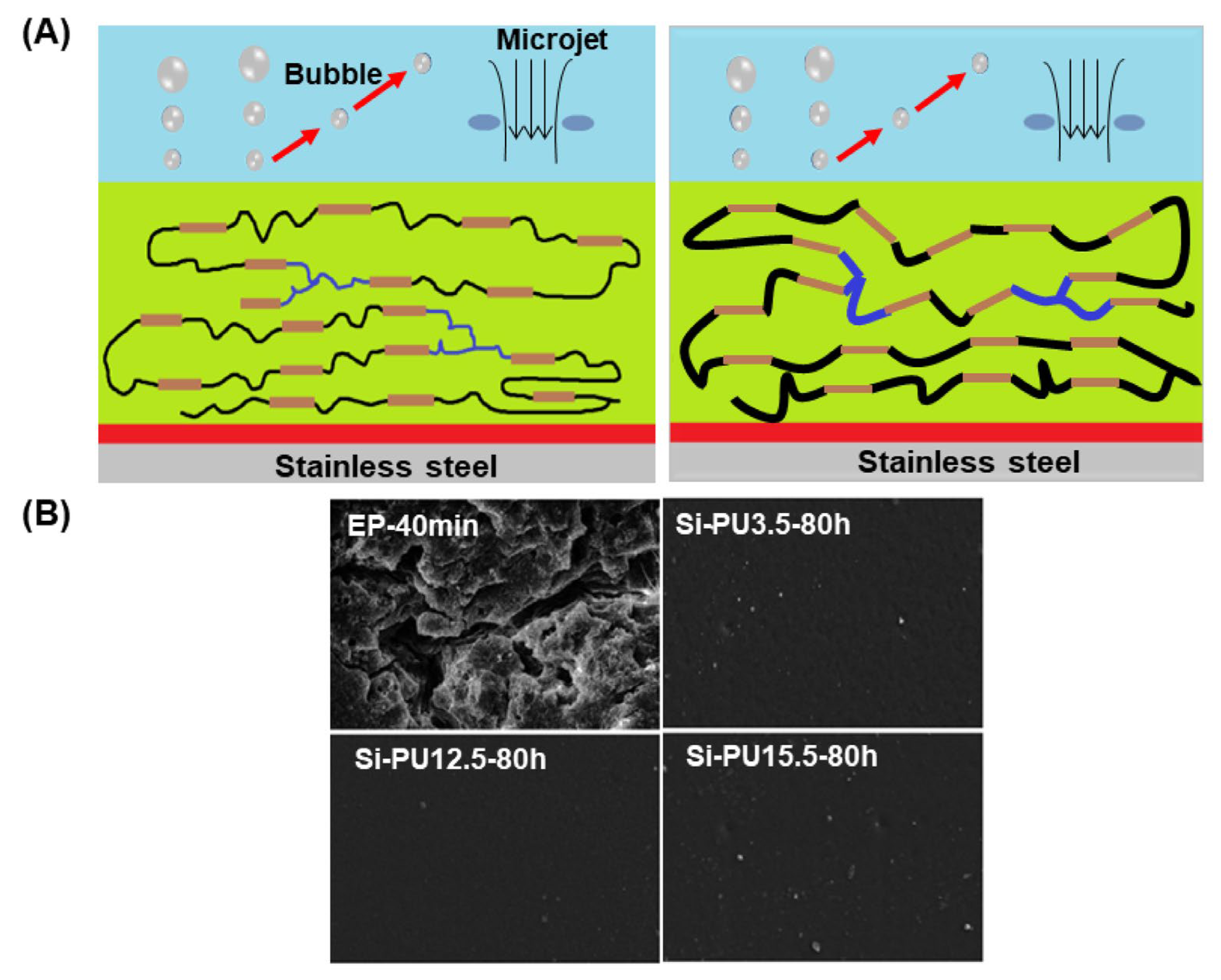 Coatings 13 01619 g006