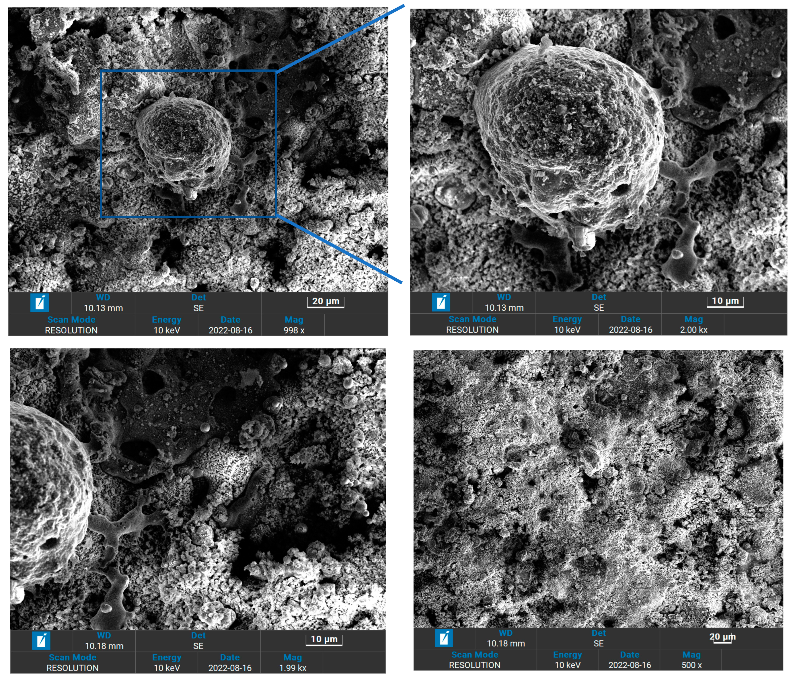 Coatings 13 01620 g008b