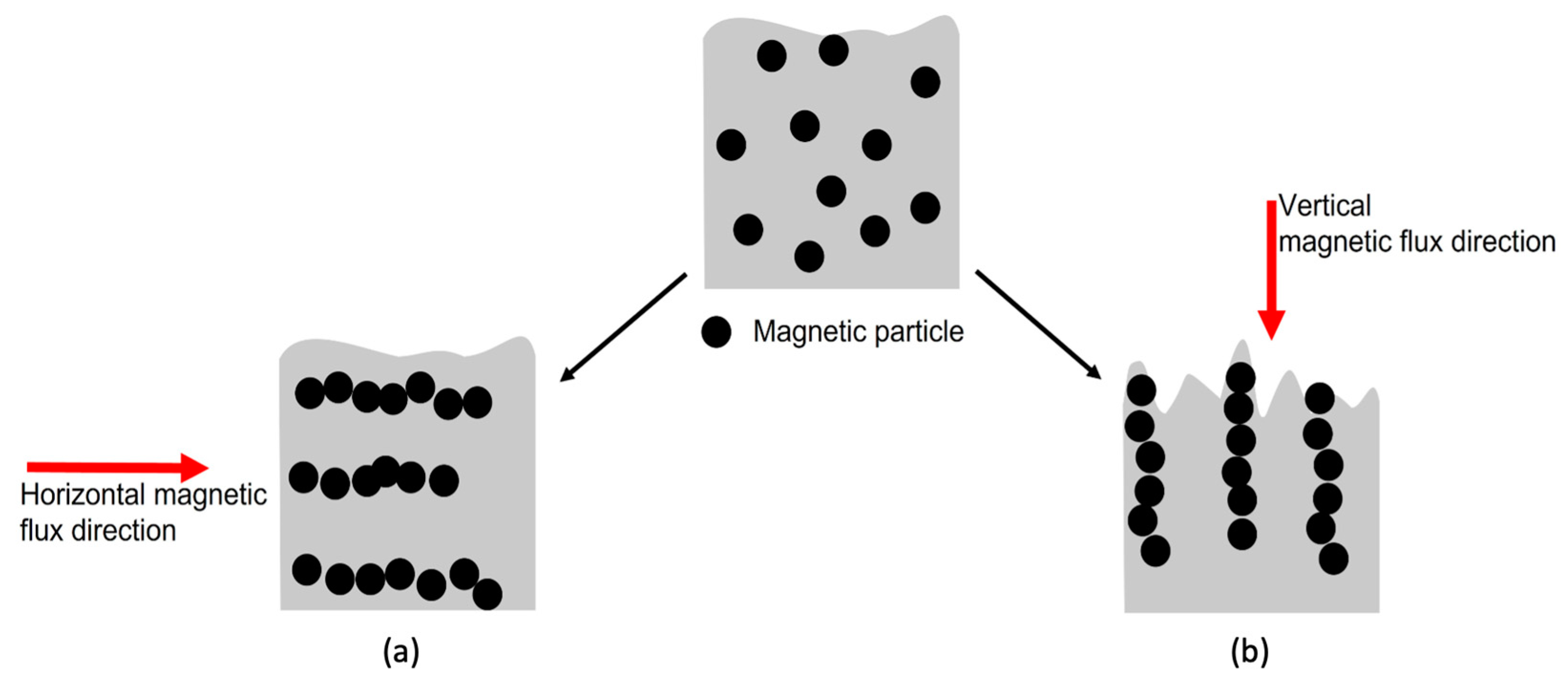 Coatings 13 01625 g001