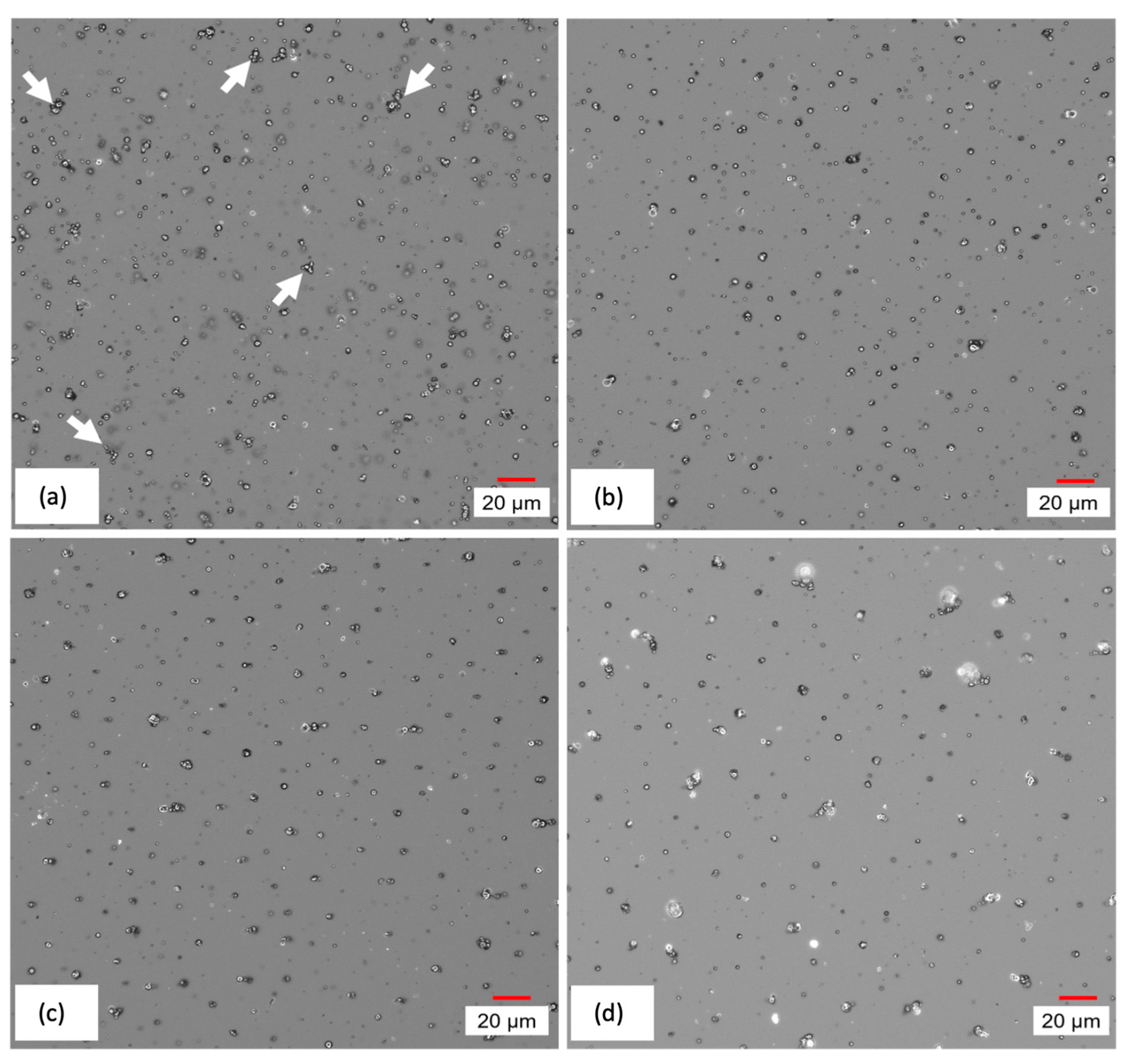 Coatings 13 01625 g011