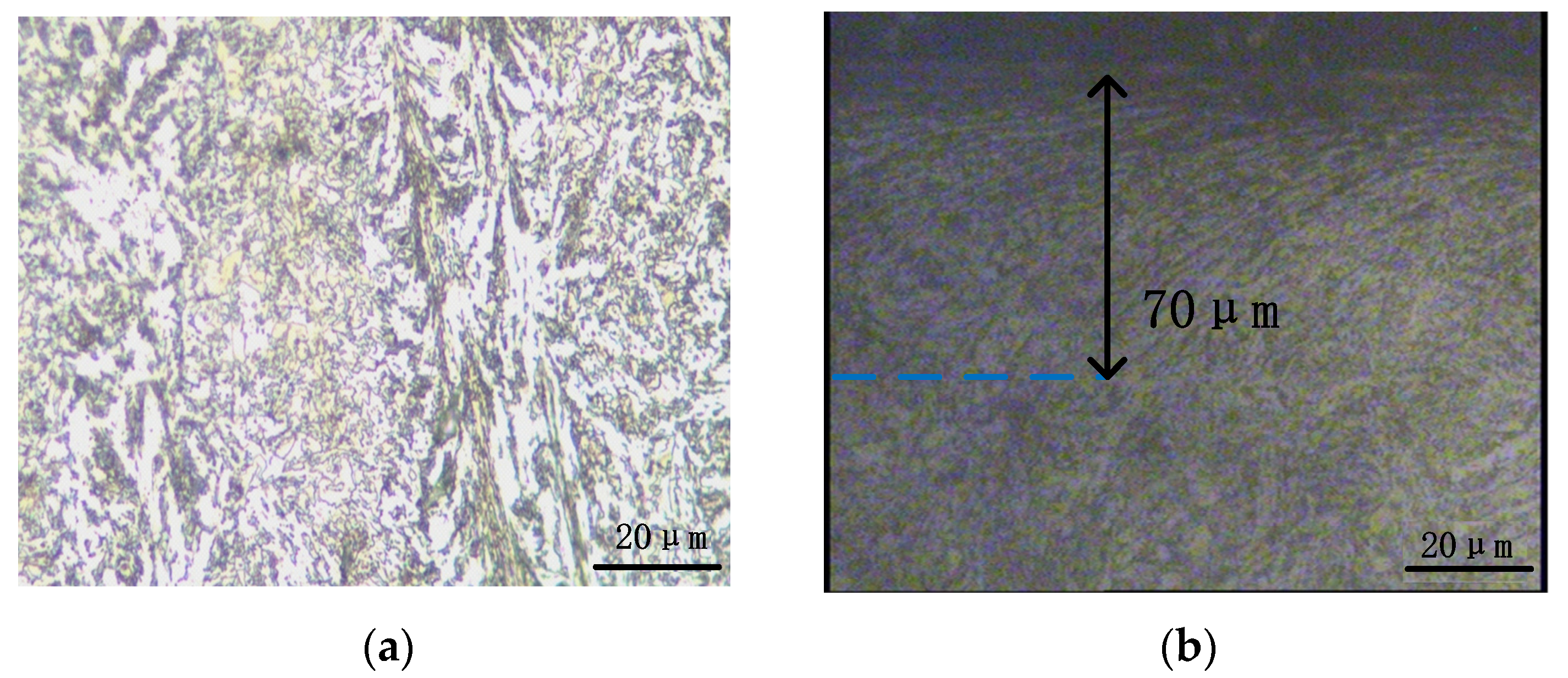 Coatings 13 01626 g005a