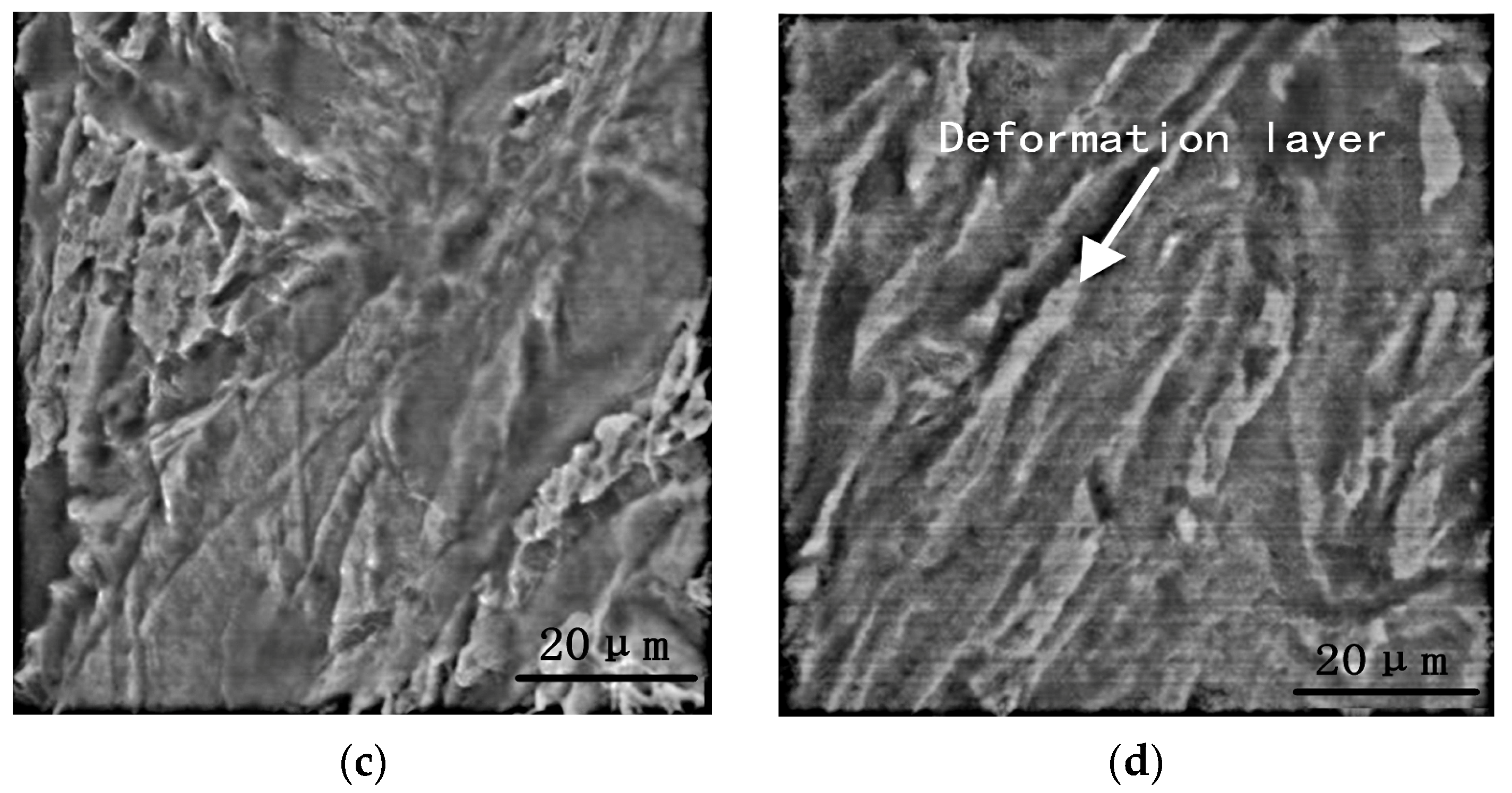 Coatings 13 01626 g005b