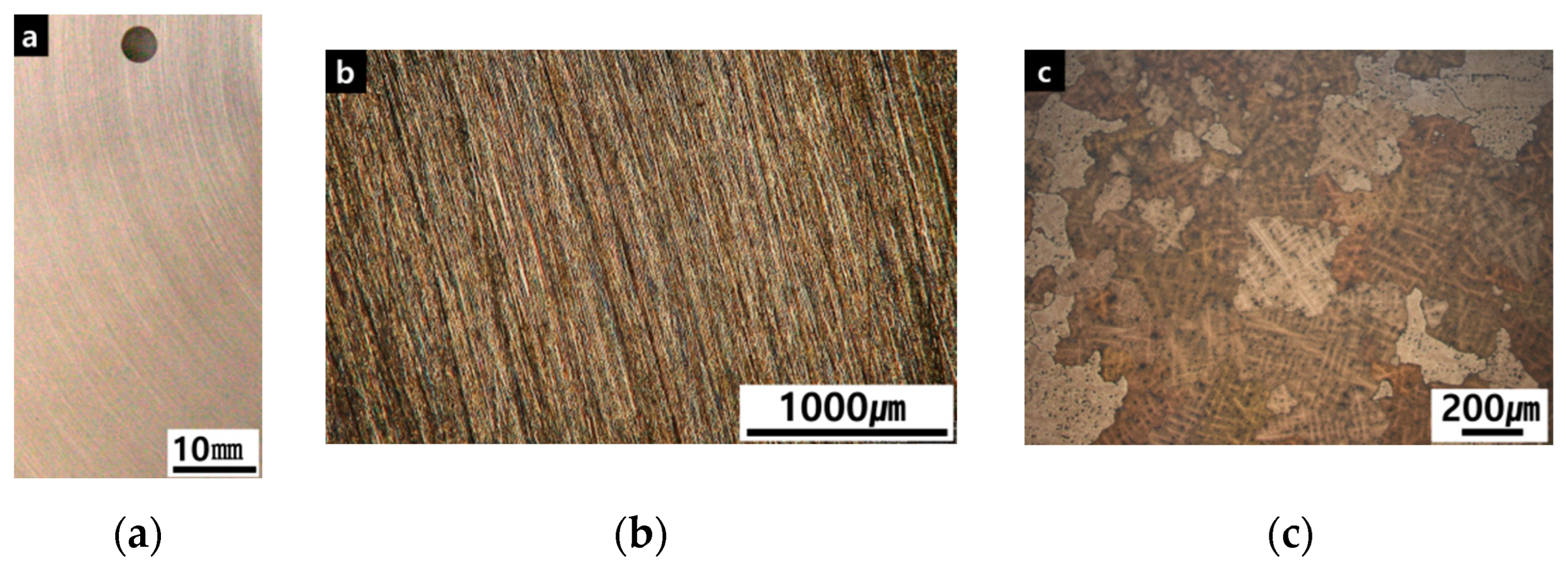 Coatings 13 01630 g002