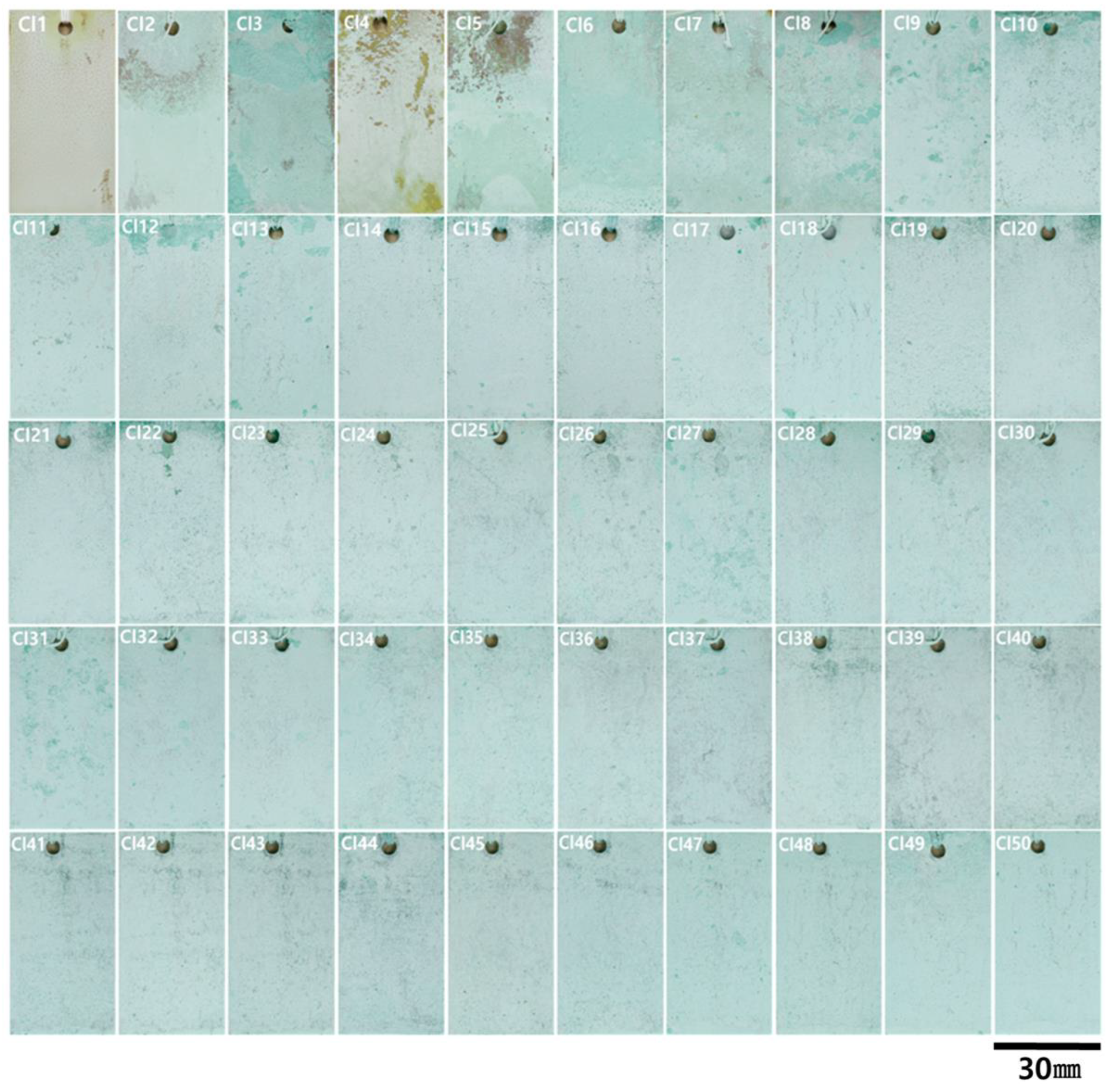 Coatings 13 01630 g003