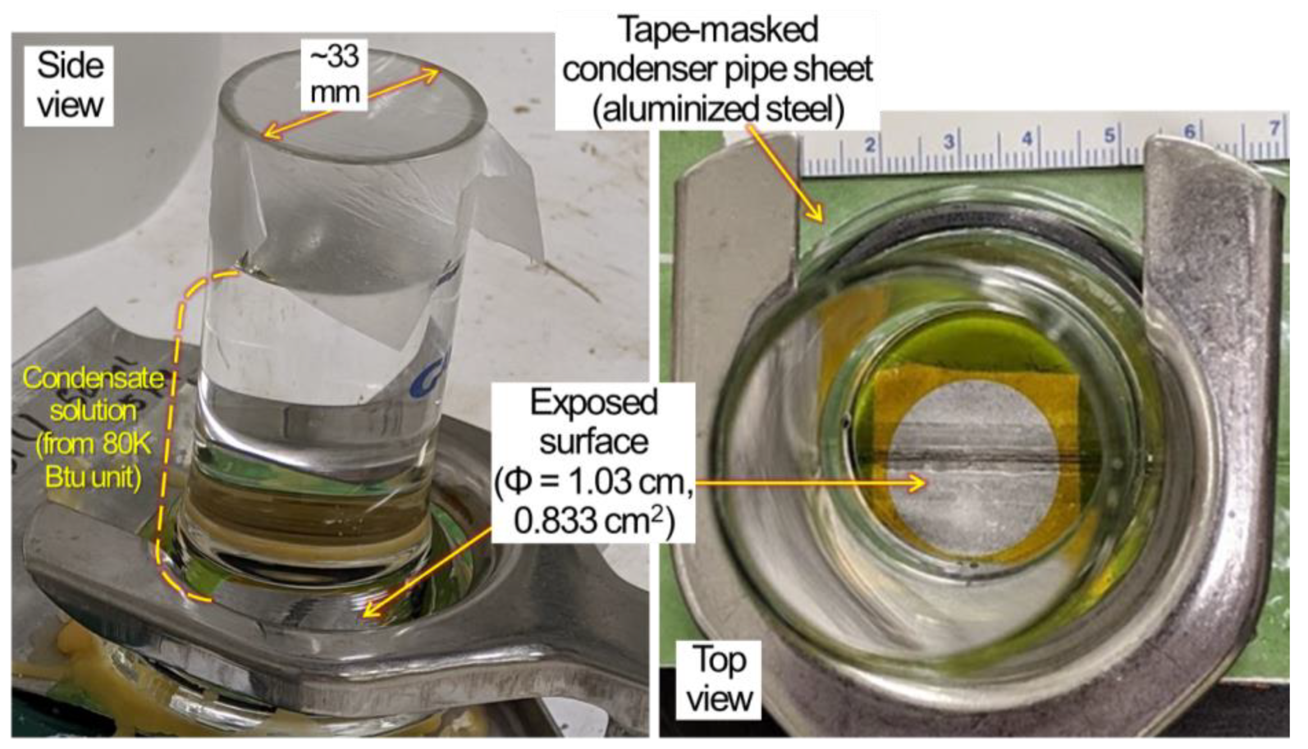 Coatings 13 01631 g002