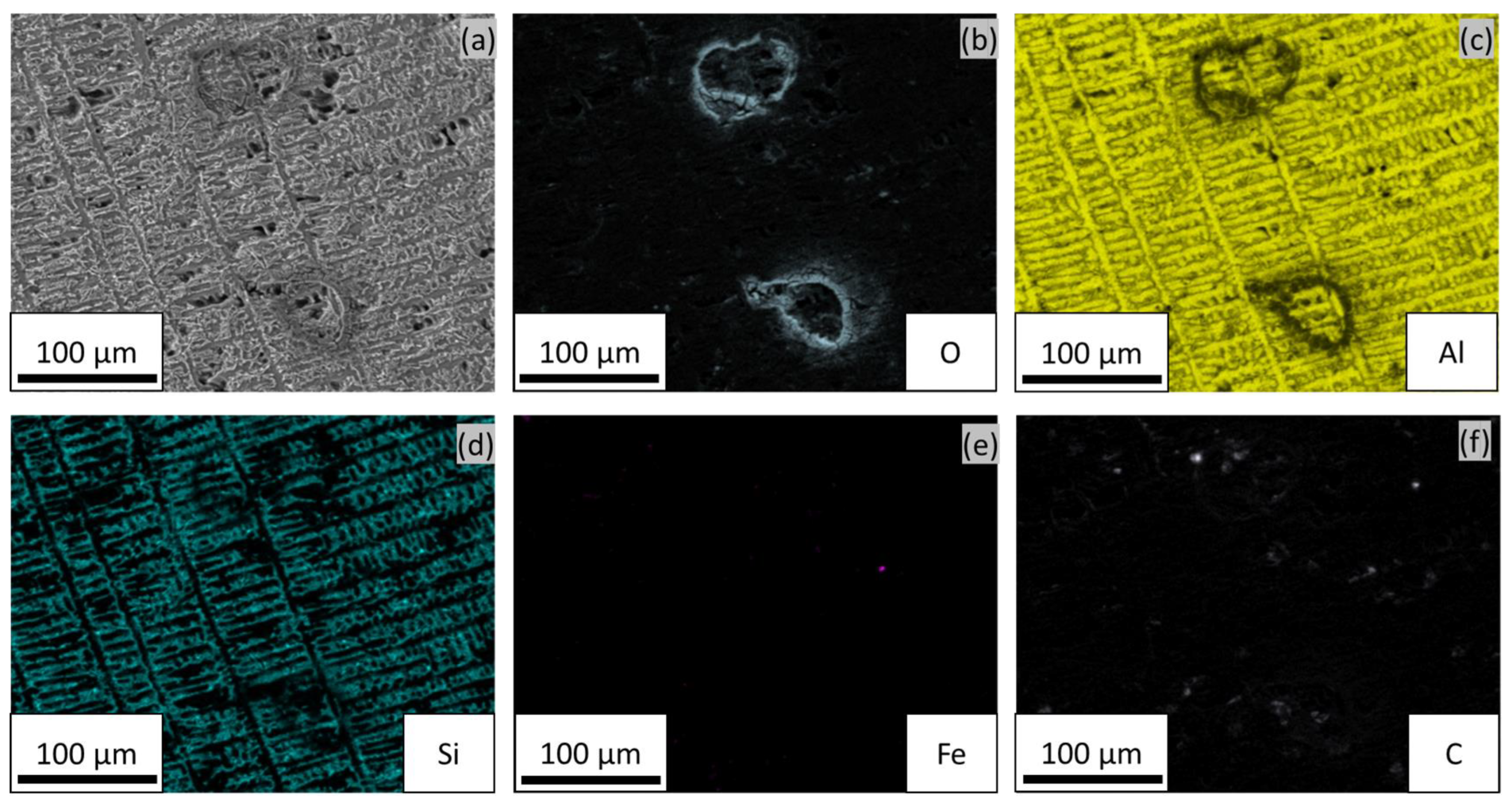 Coatings 13 01631 g004