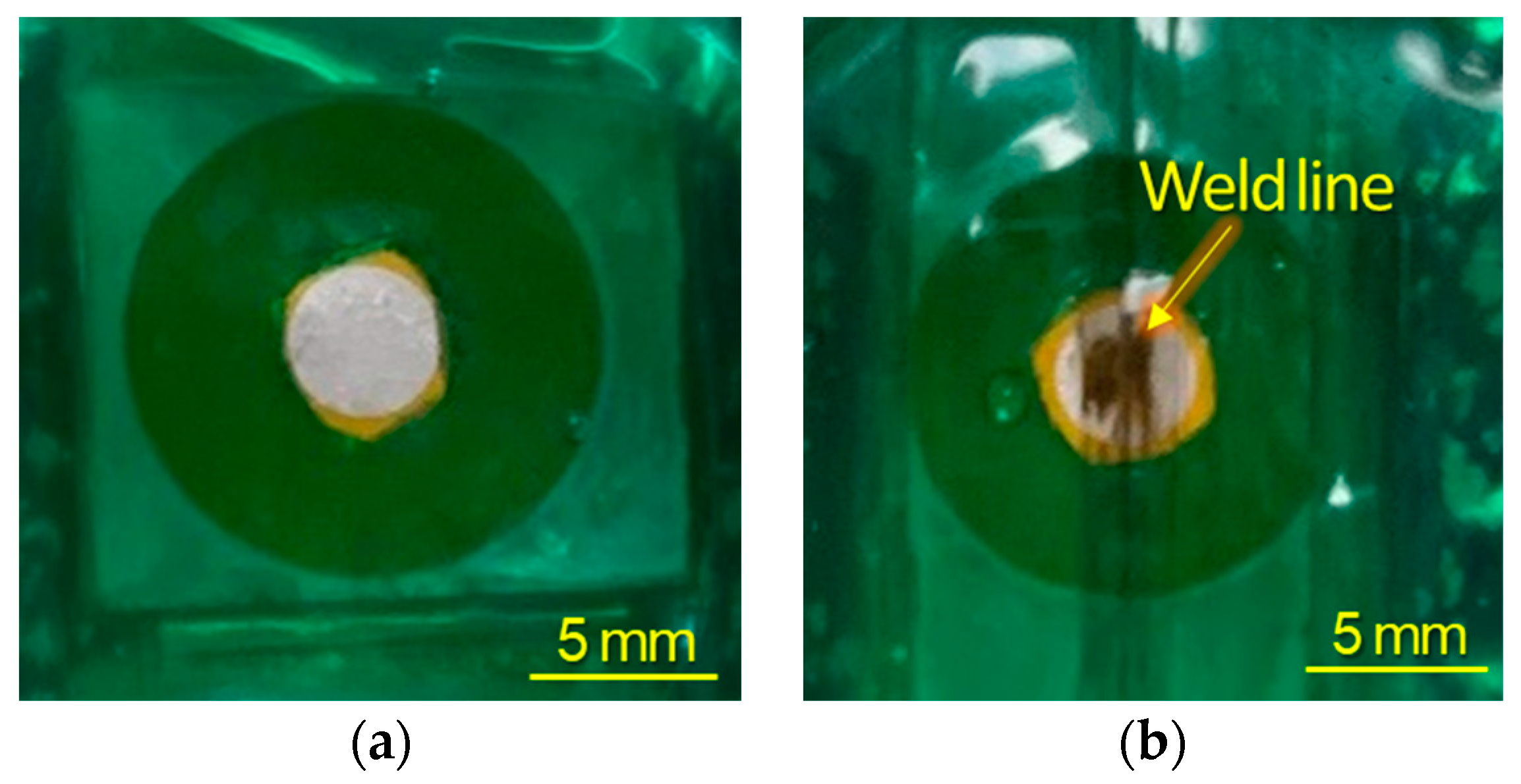 Coatings 13 01631 g0a1