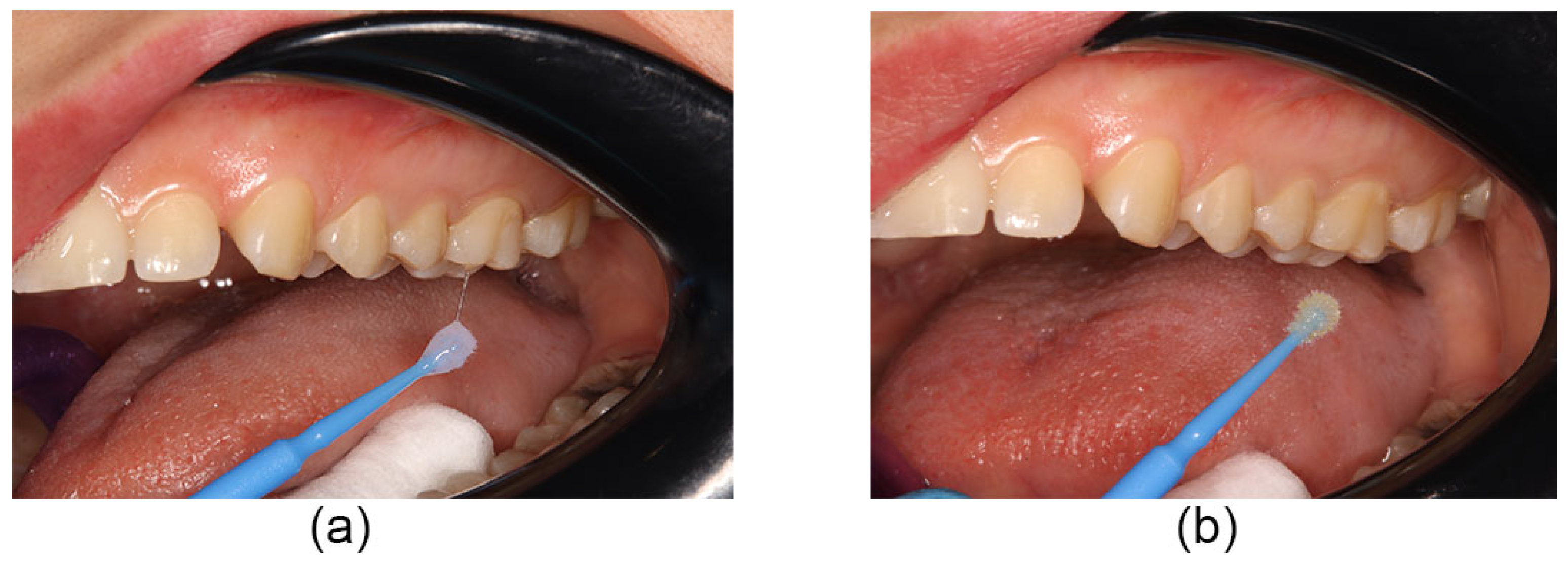 Coatings 13 01635 g002 Coatings 13 01635 g002