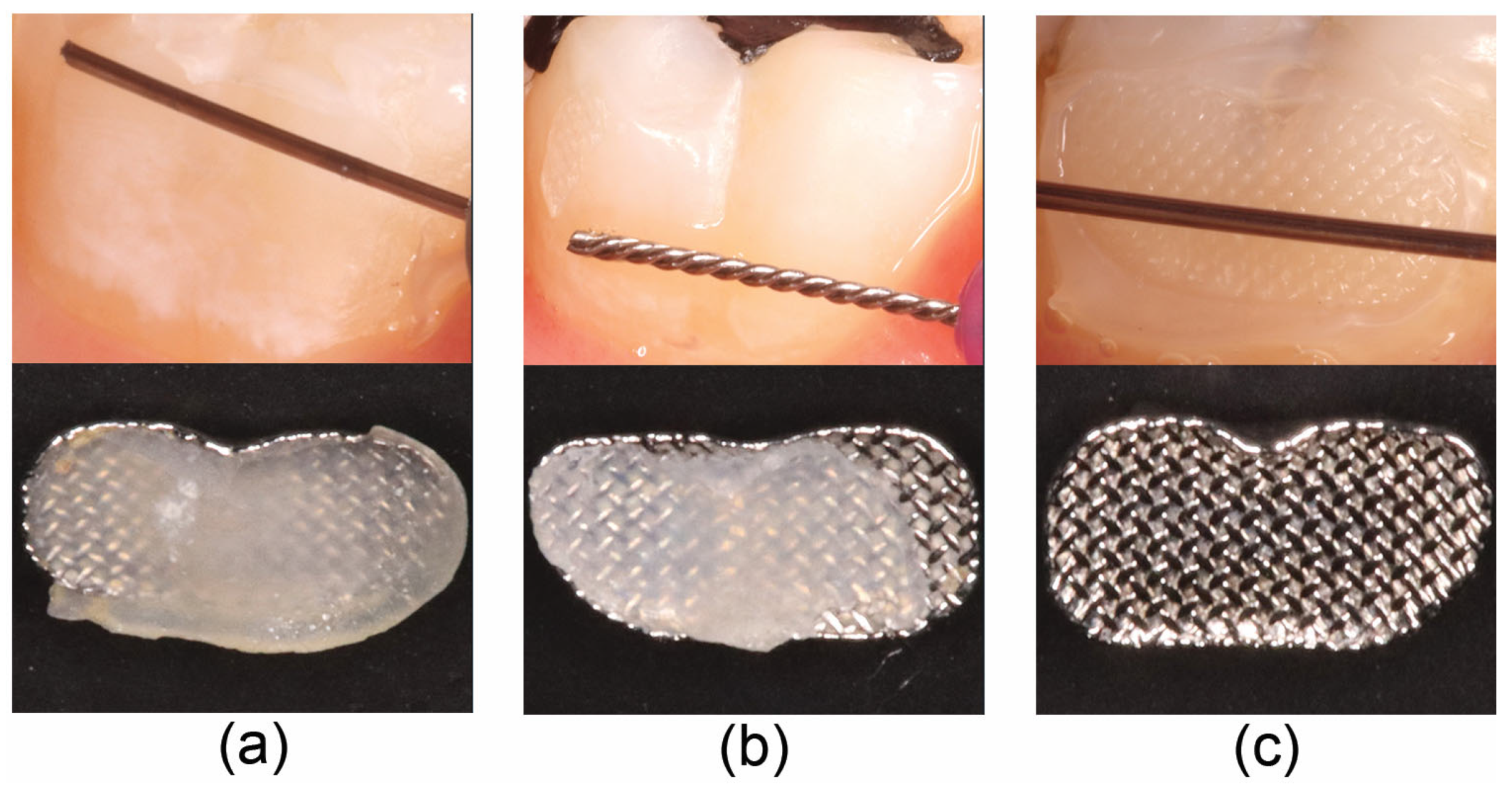 Coatings 13 01635 g006 Coatings 13 01635 g006
