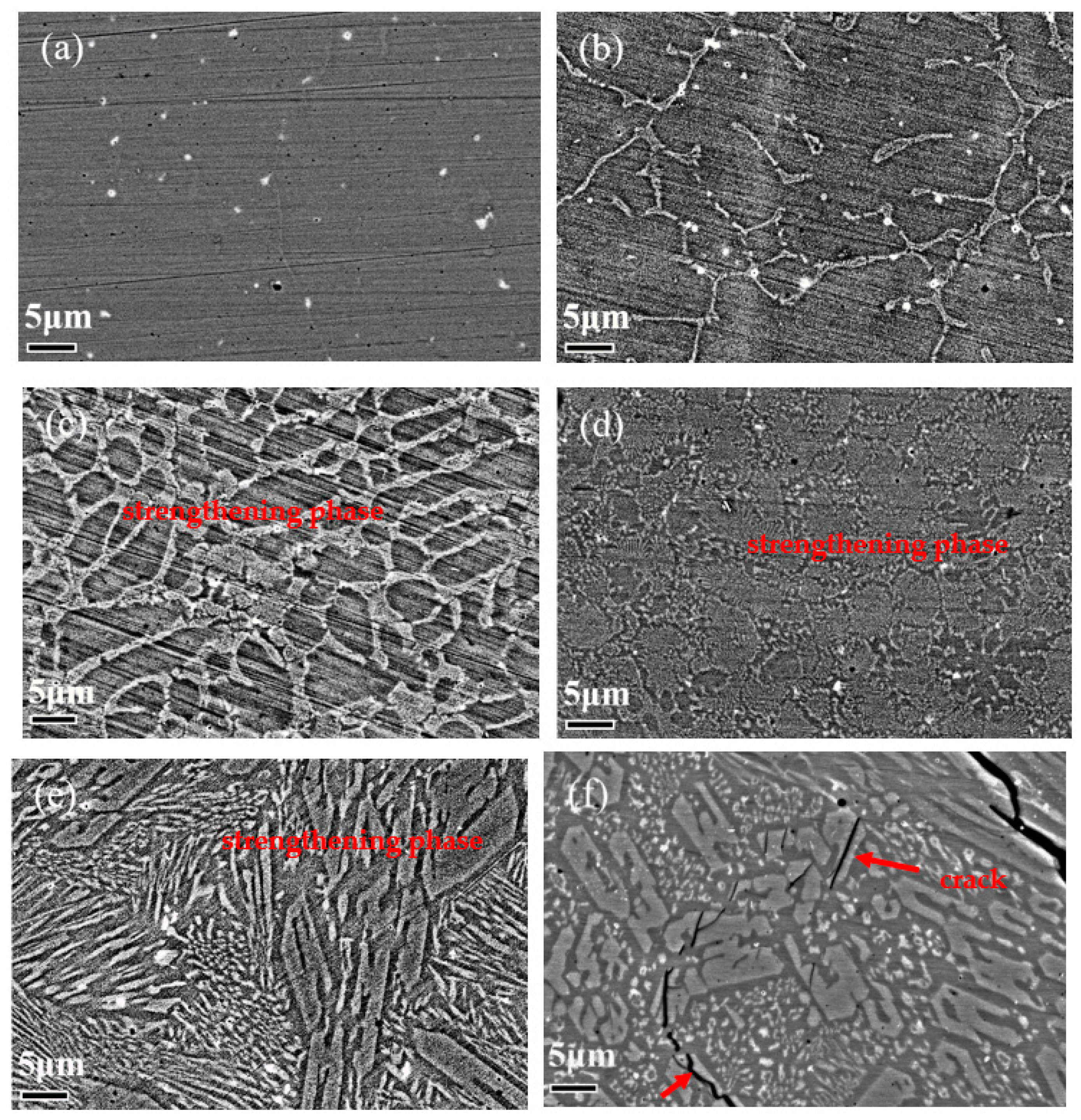 Coatings 13 01636 g005