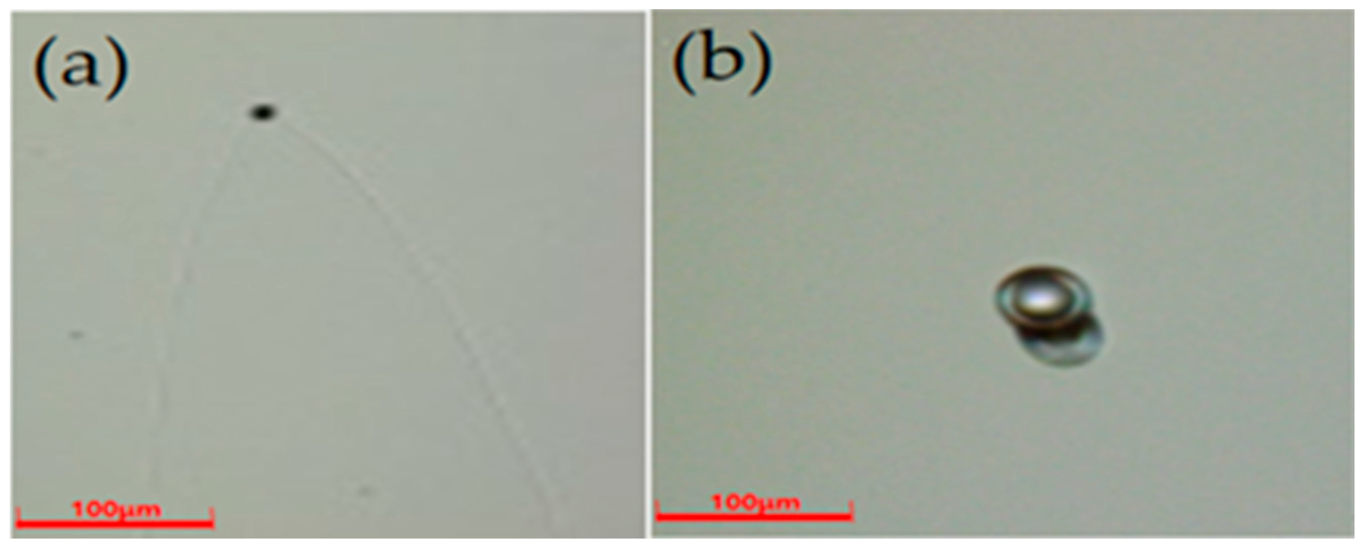 Coatings 13 01637 g003