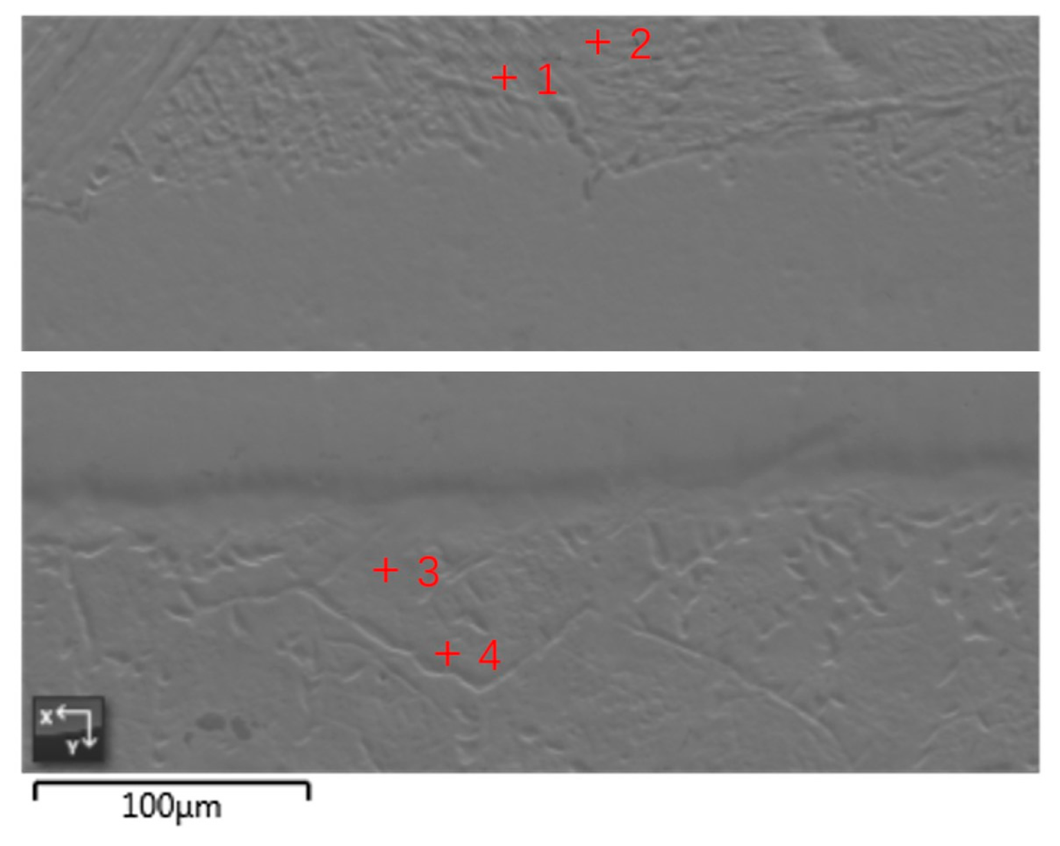 Coatings 13 01638 g005