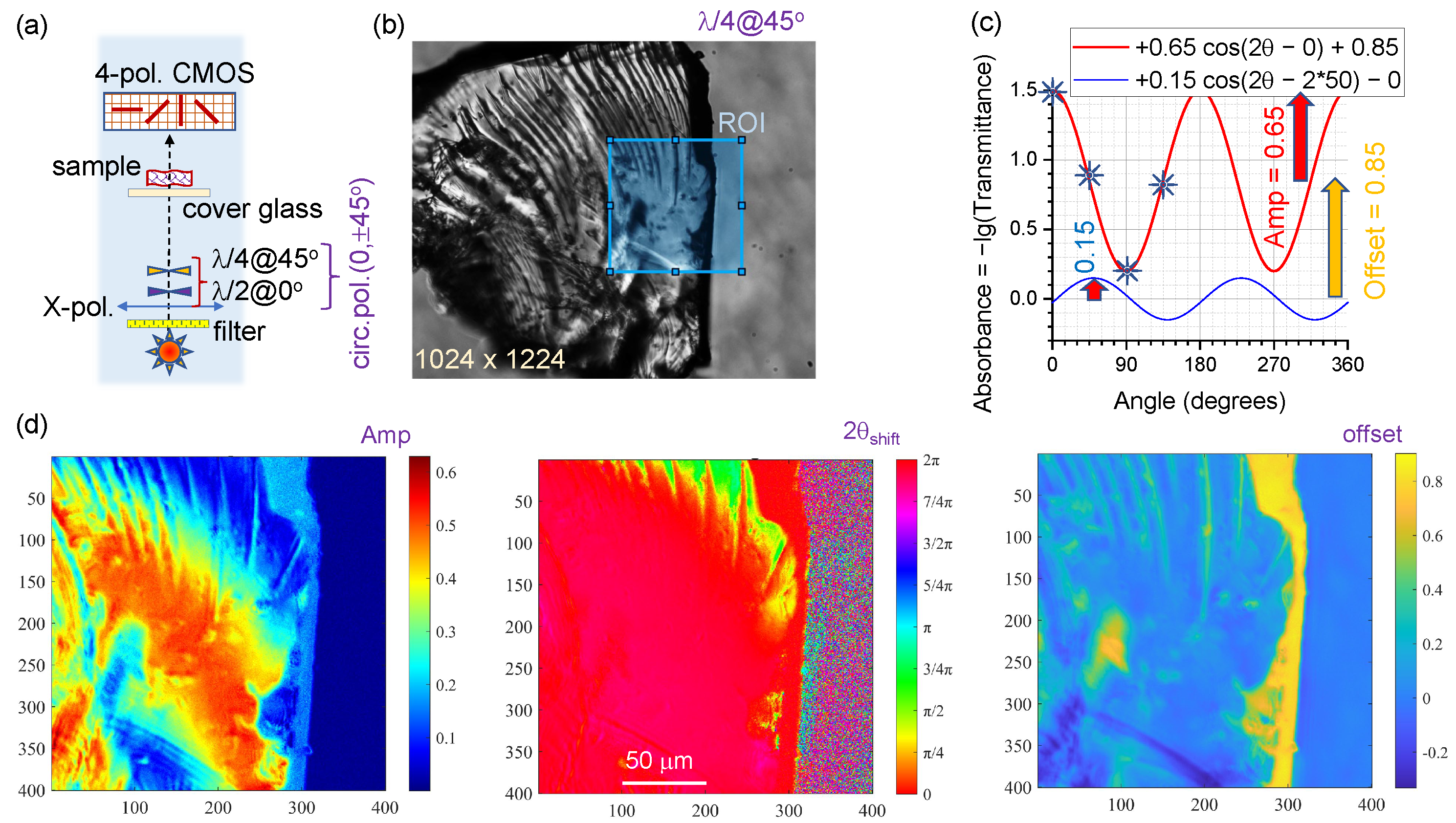 Coatings 13 01640 g002