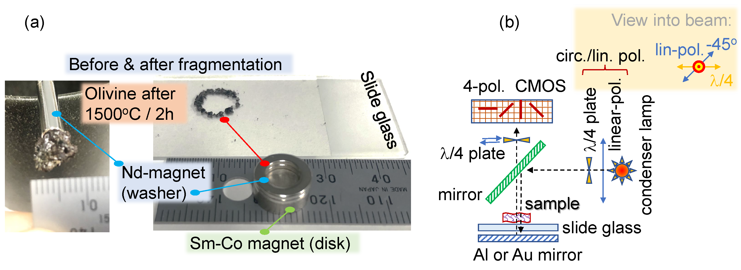 Coatings 13 01640 g006