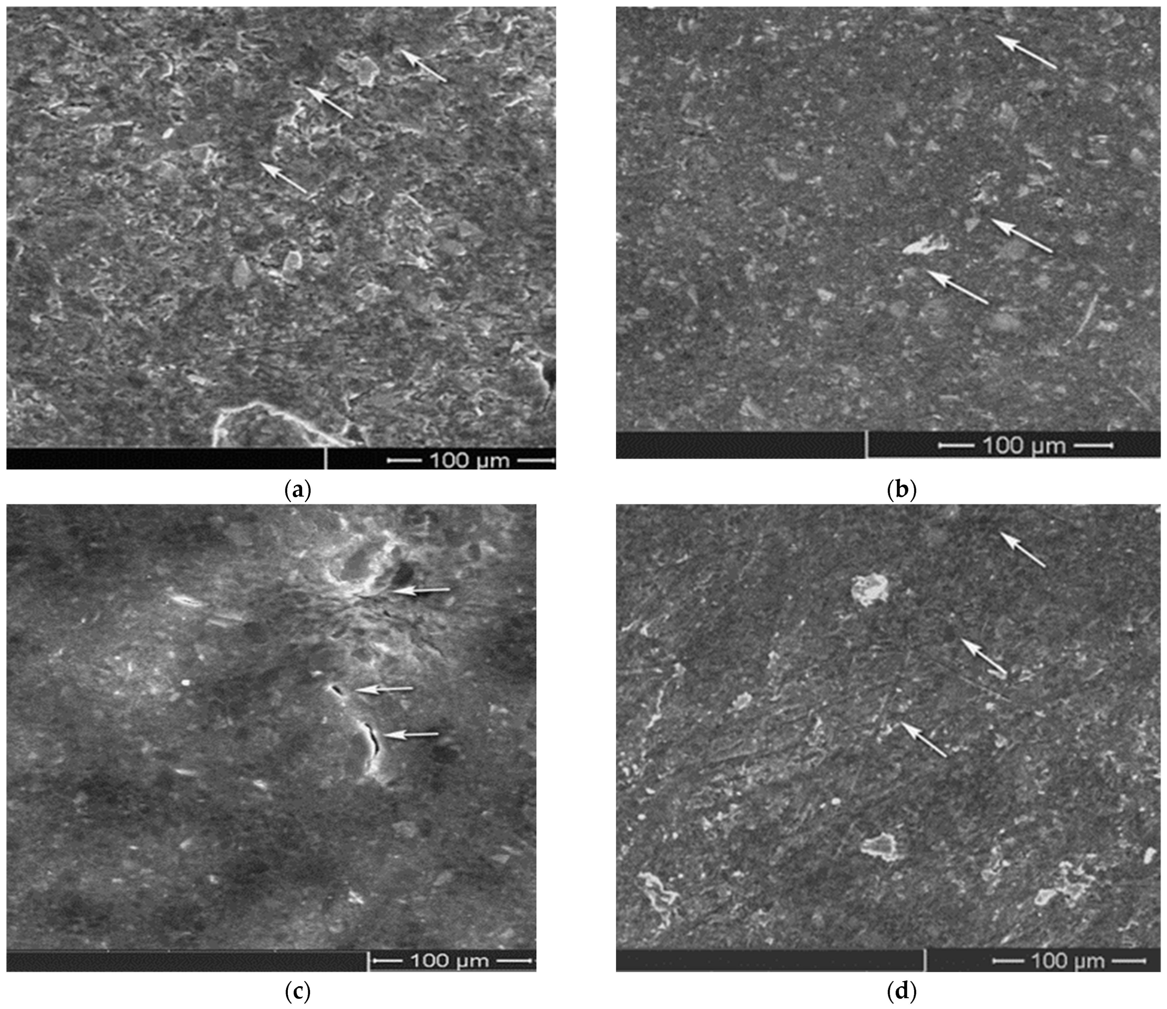 Coatings 13 01641 g003