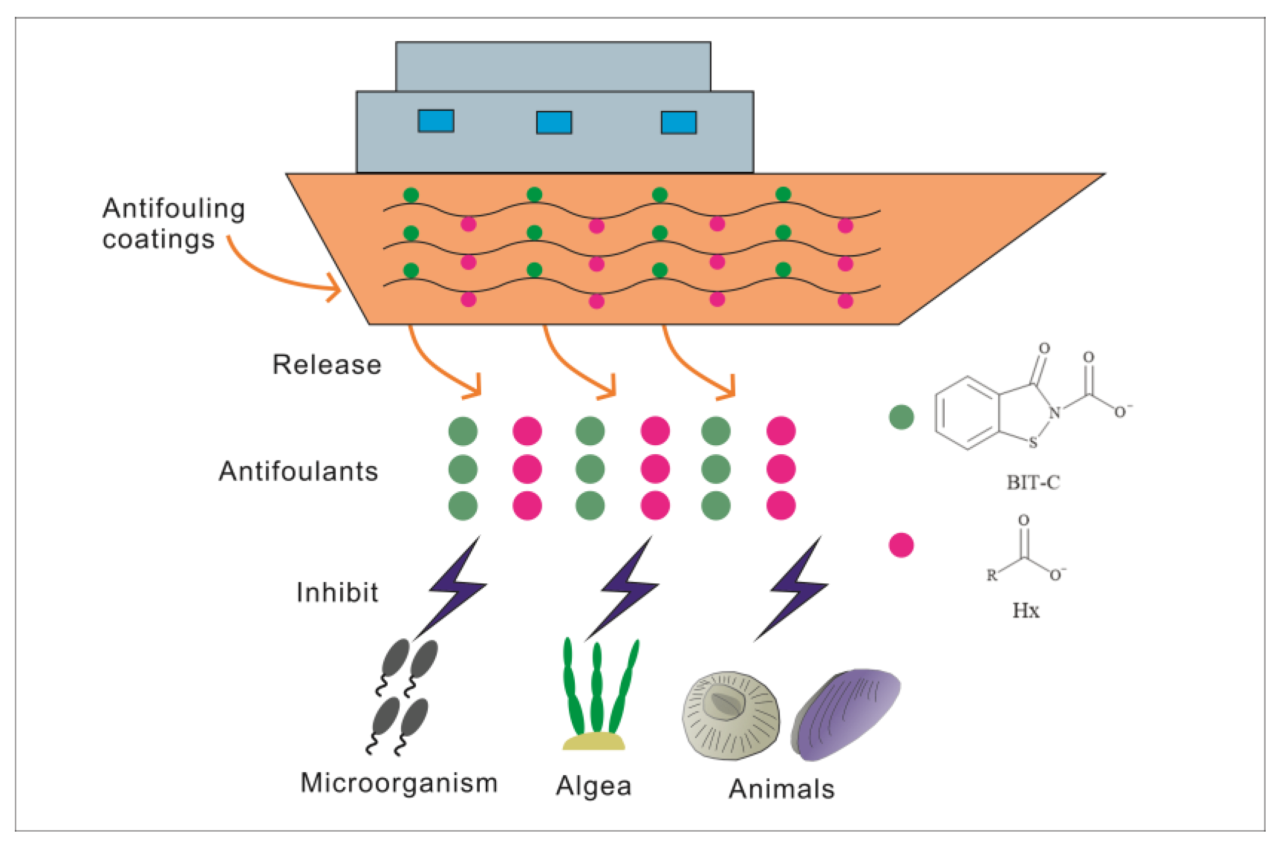 Coatings 13 01643 g001