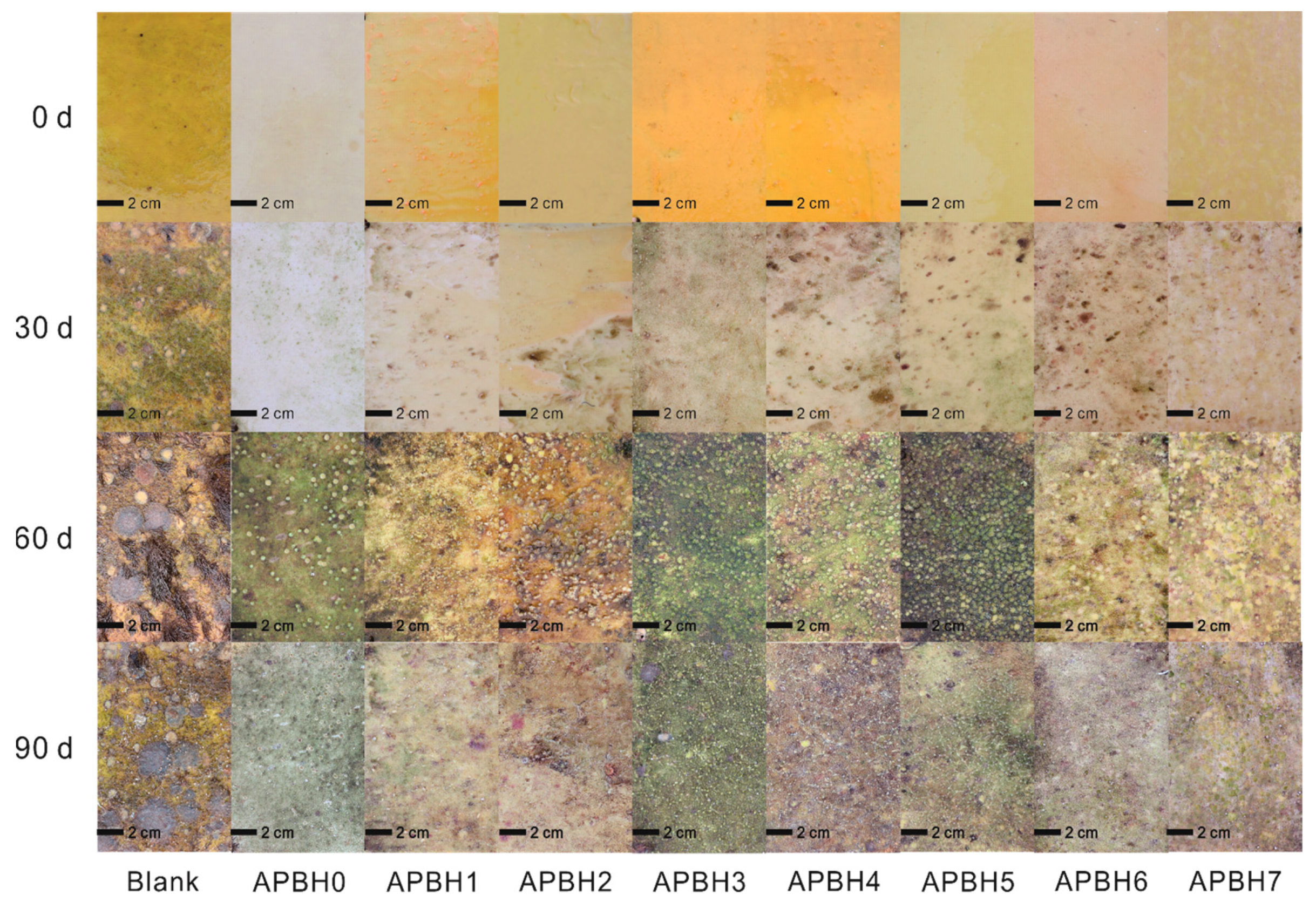 Coatings 13 01643 g005