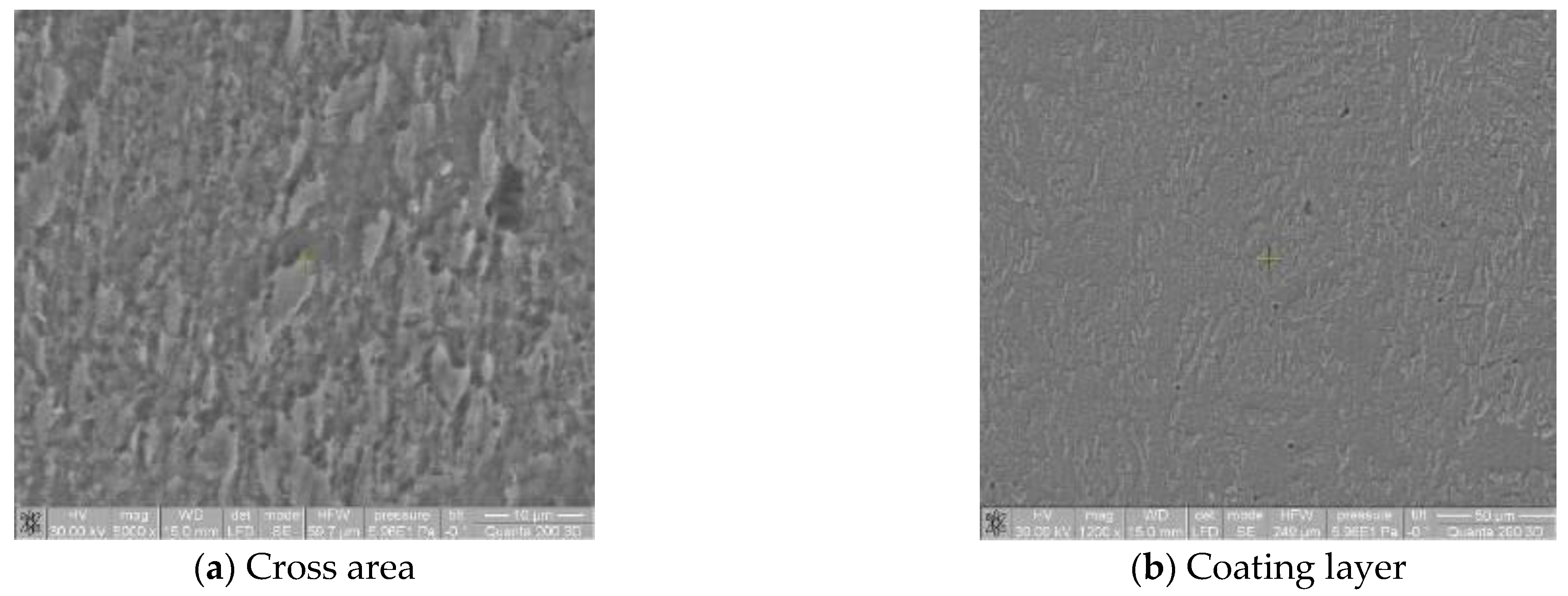 Coatings 13 01645 g001