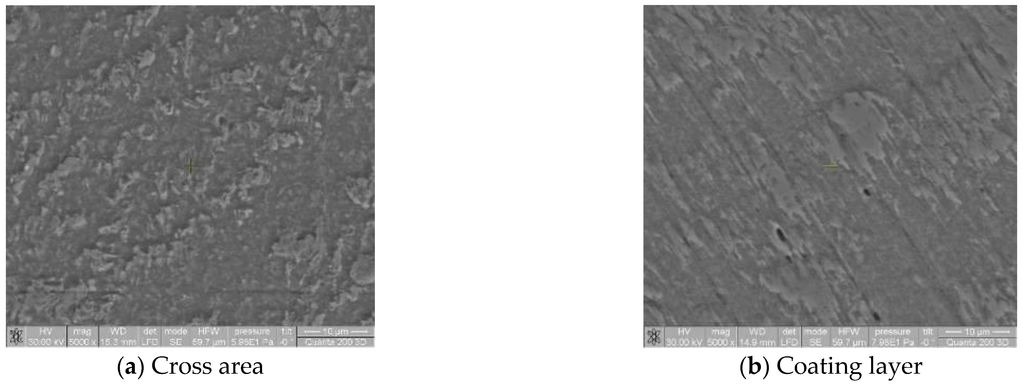 Coatings 13 01645 g002