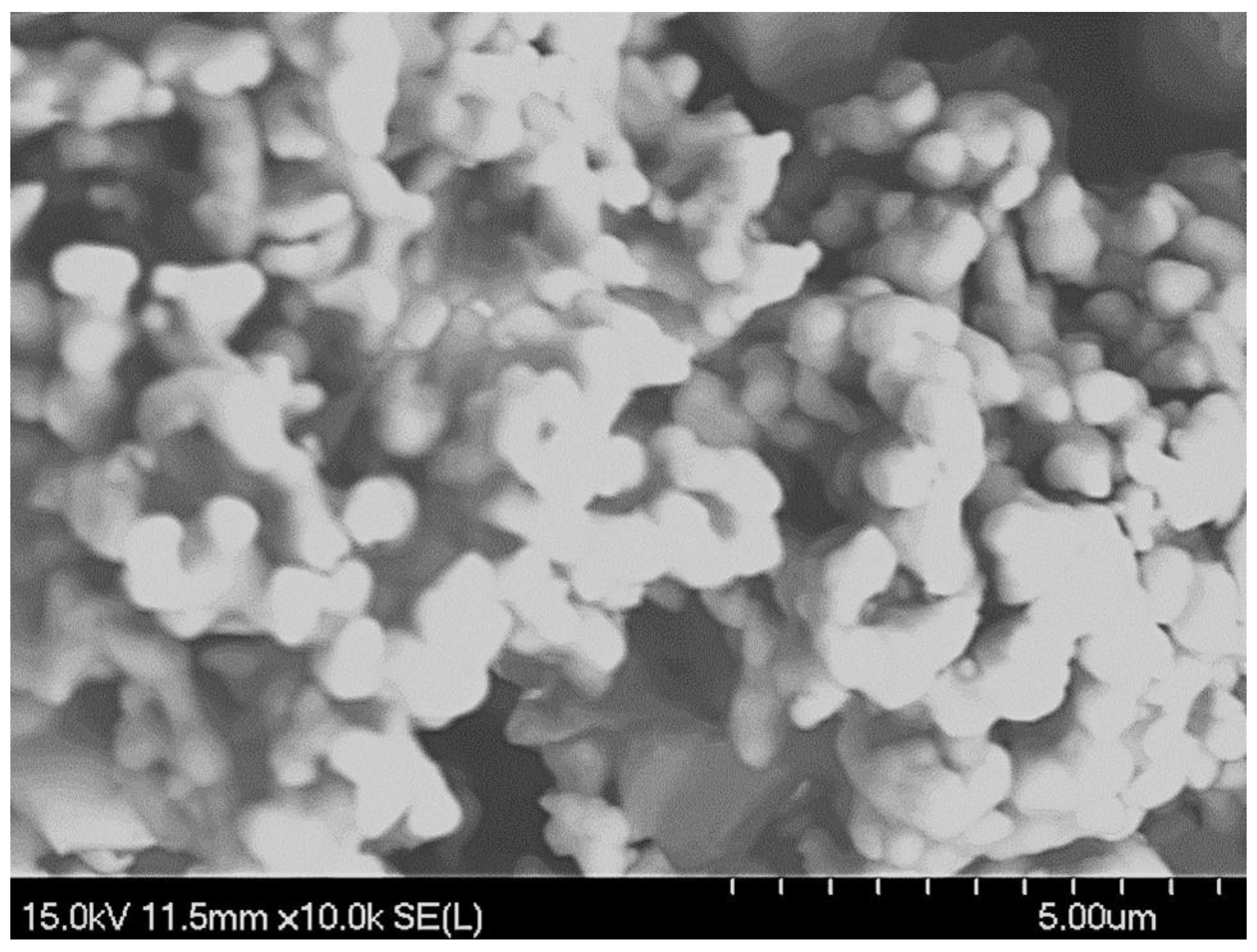 Coatings 13 01647 g002