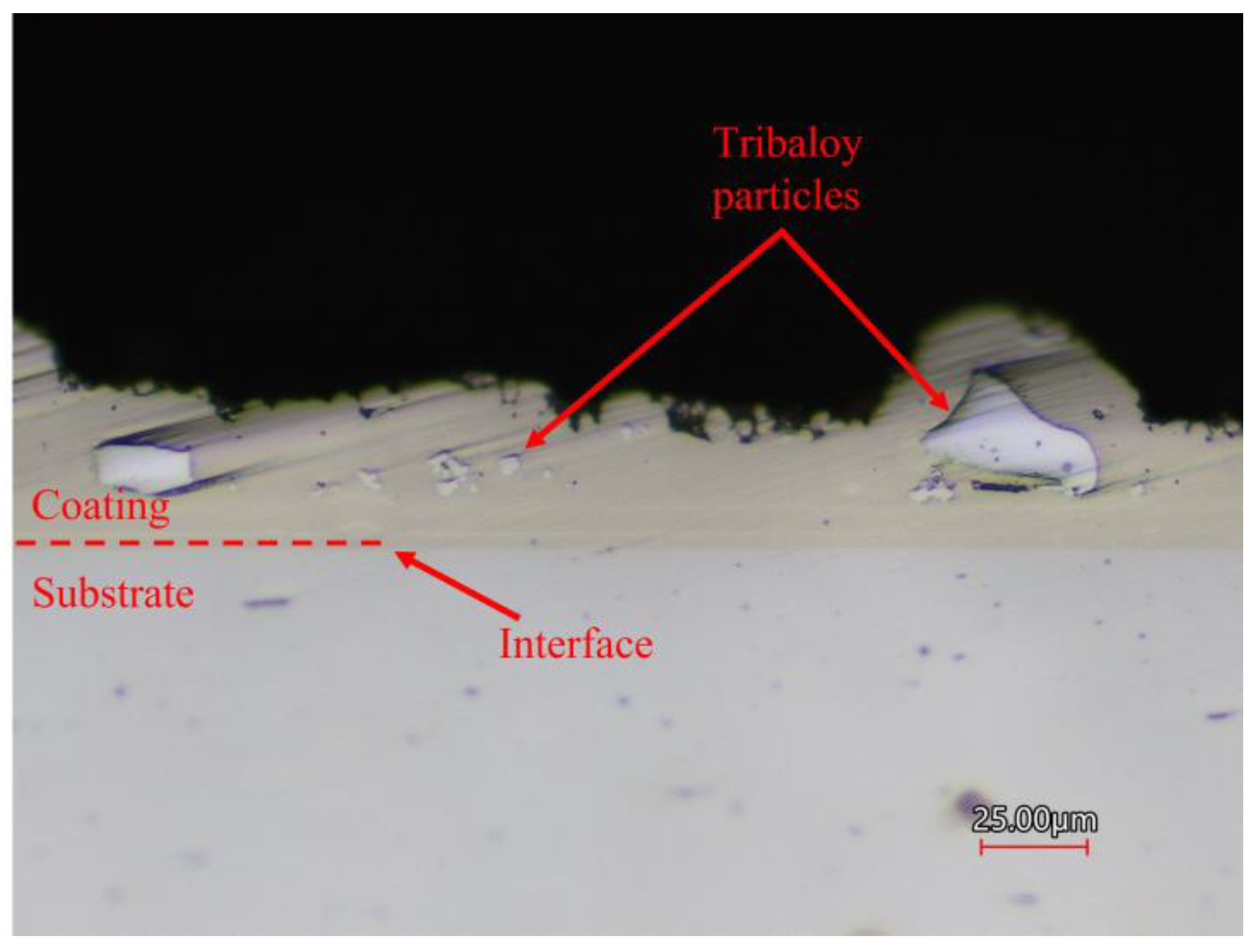 Coatings 13 01647 g005
