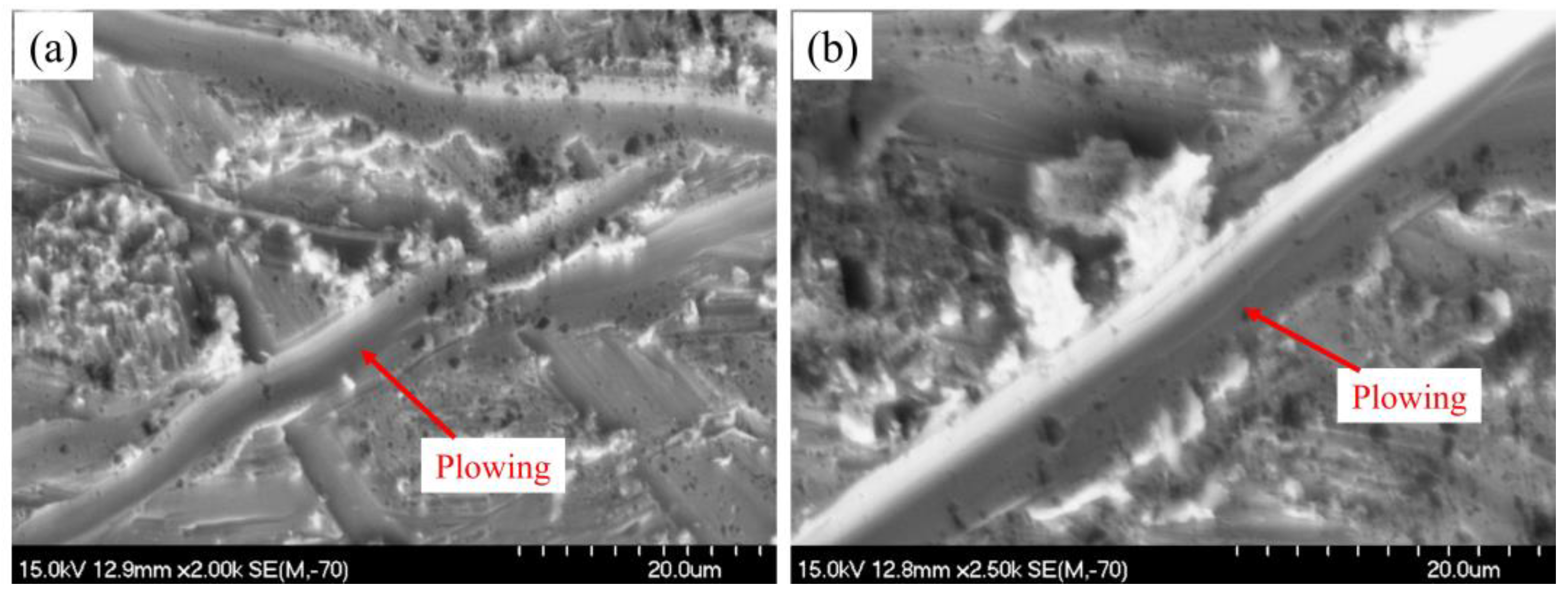 Coatings 13 01647 g013
