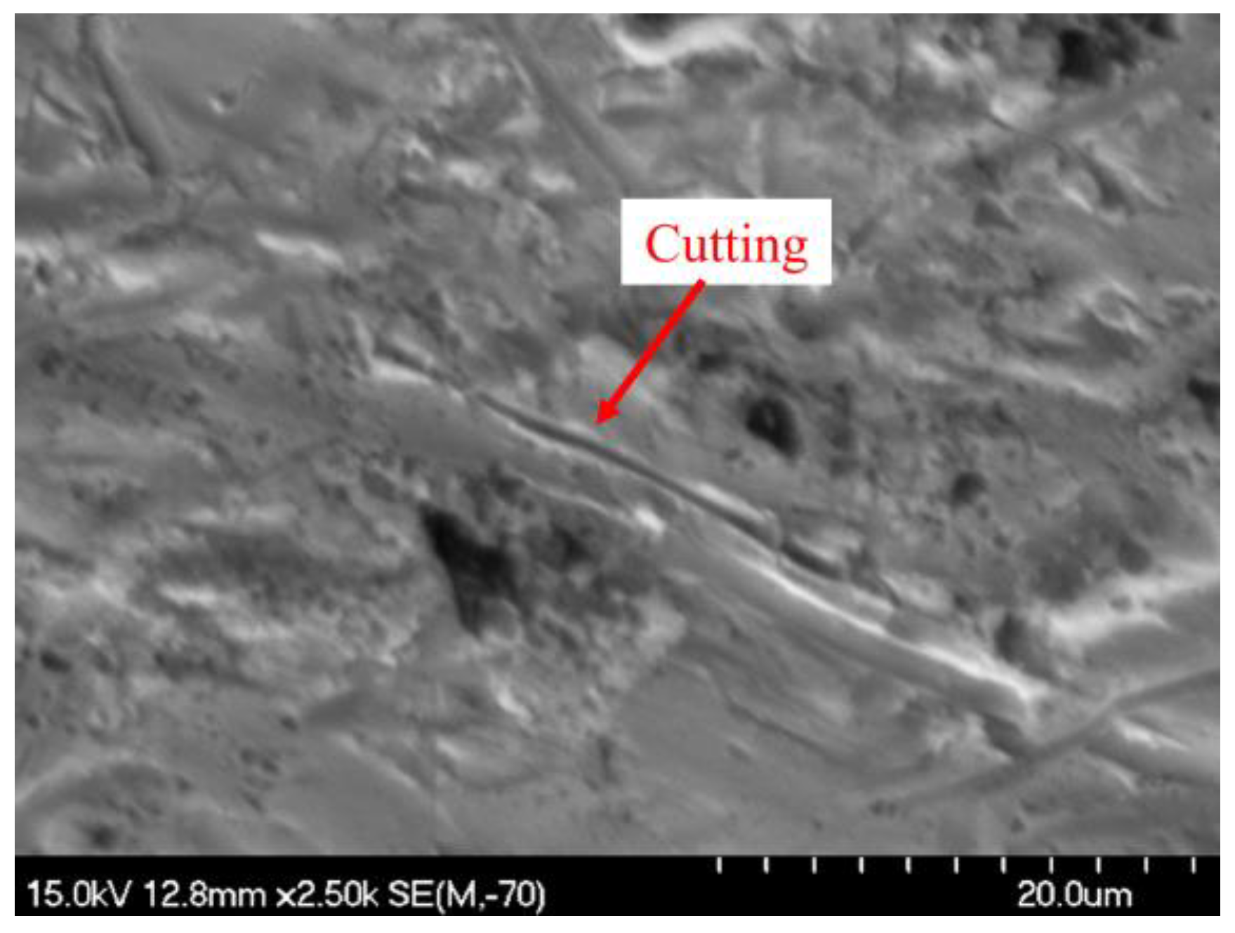 Coatings 13 01647 g014