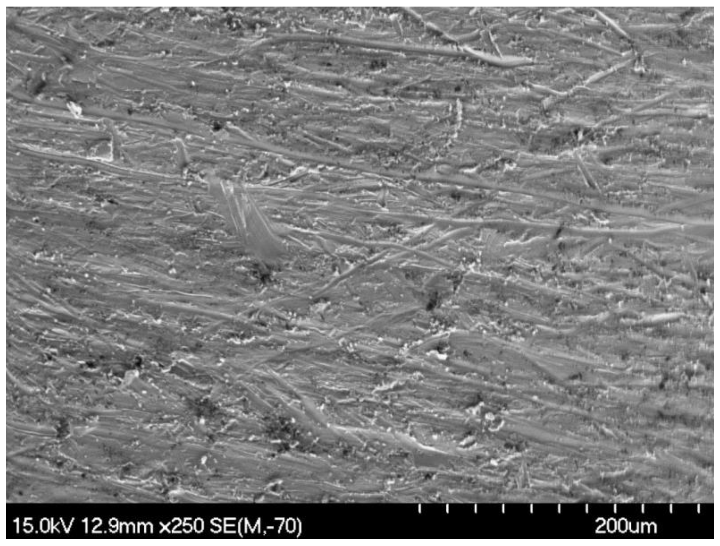 Coatings 13 01647 g015