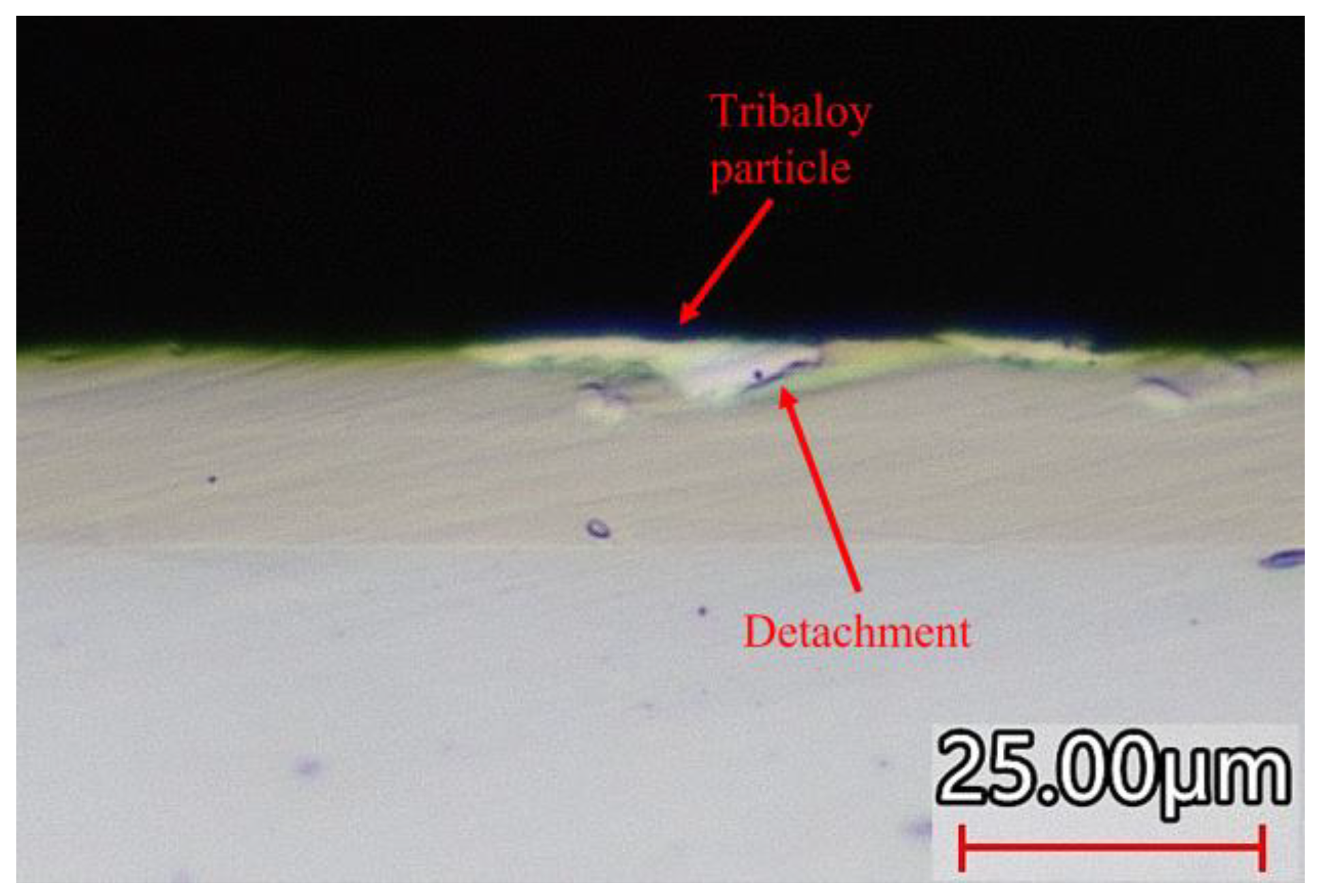 Coatings 13 01647 g020