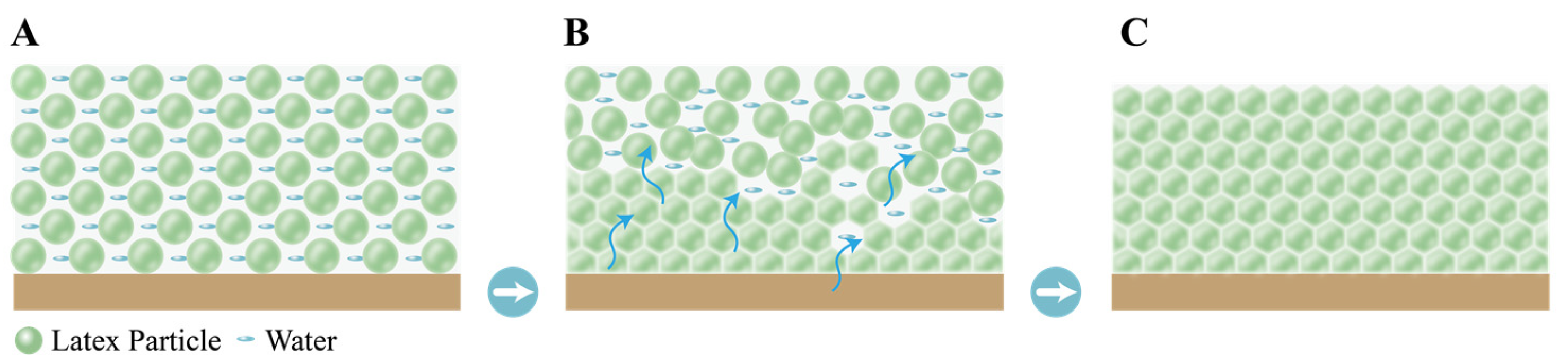 Coatings 13 01649 g001