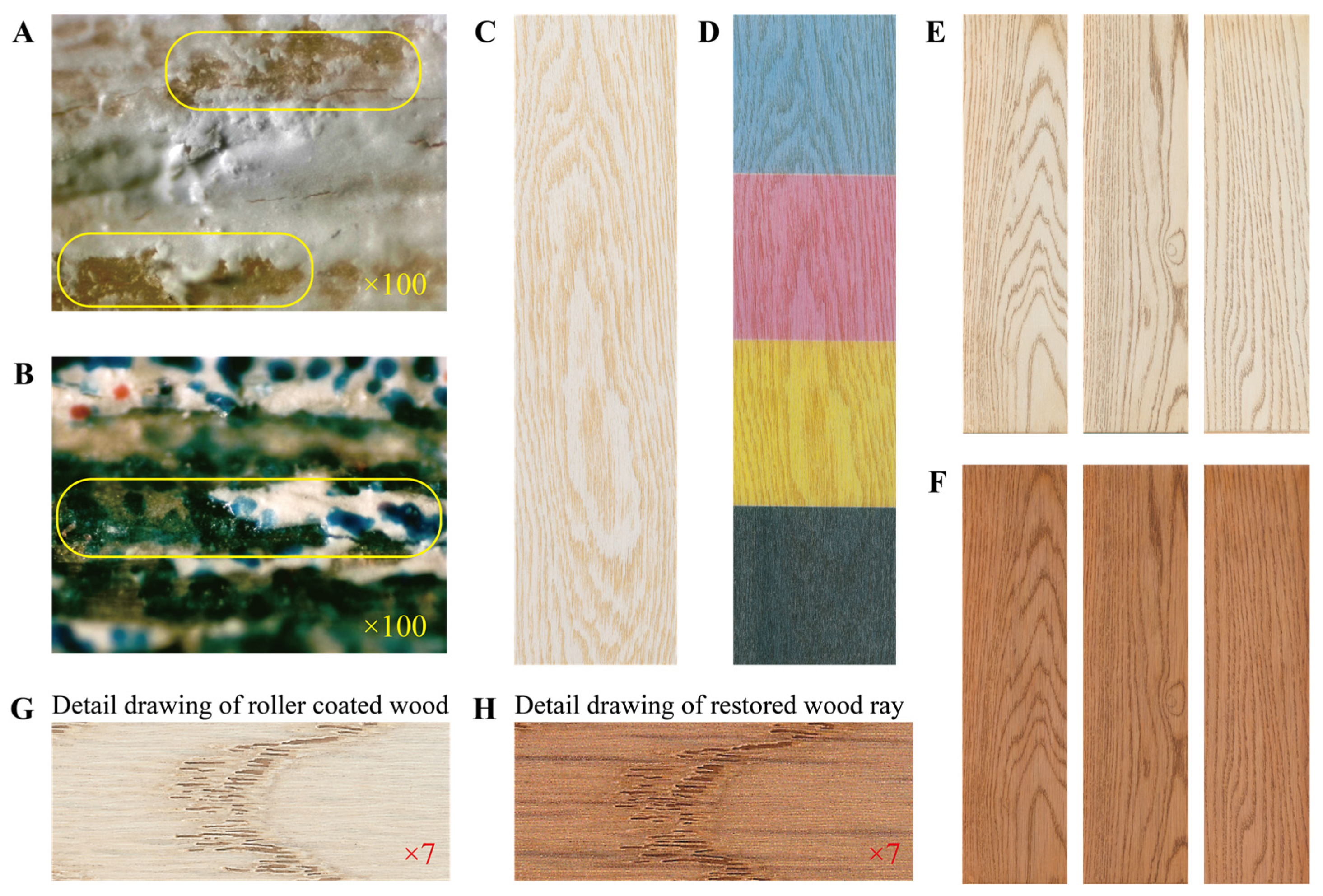 Coatings 13 01649 g006