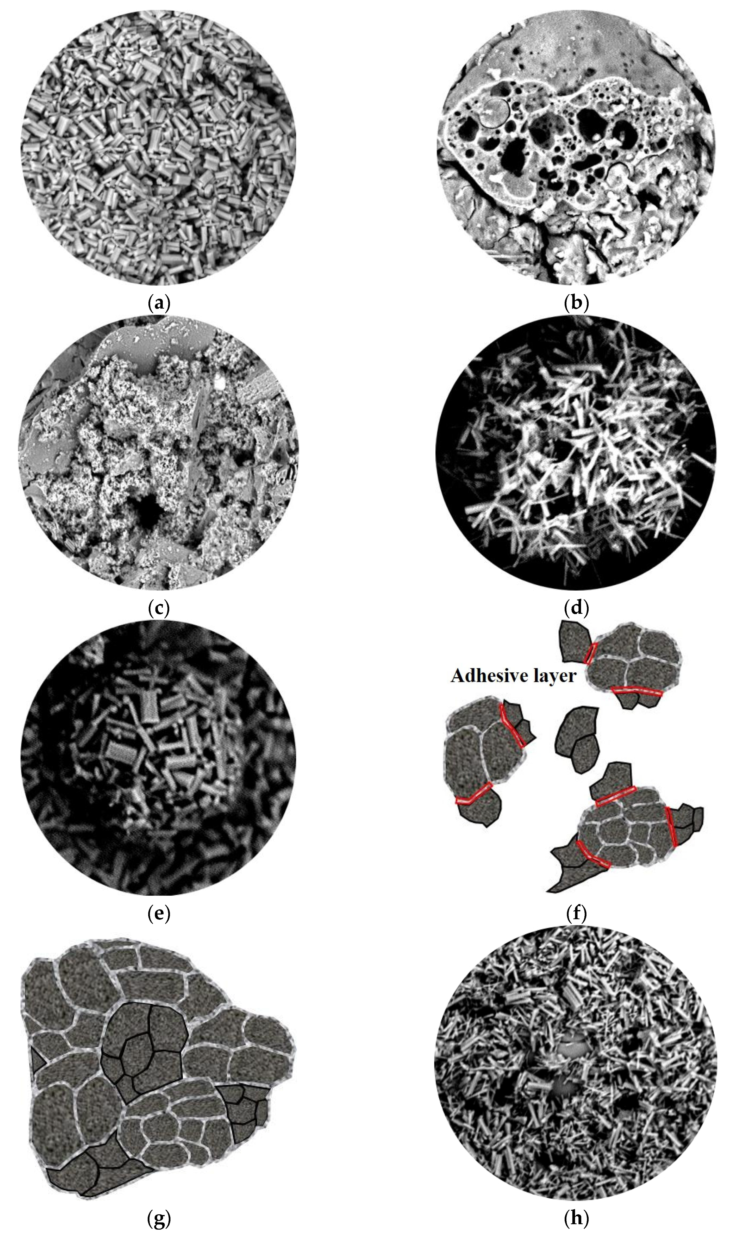 Coatings 13 01652 g013a