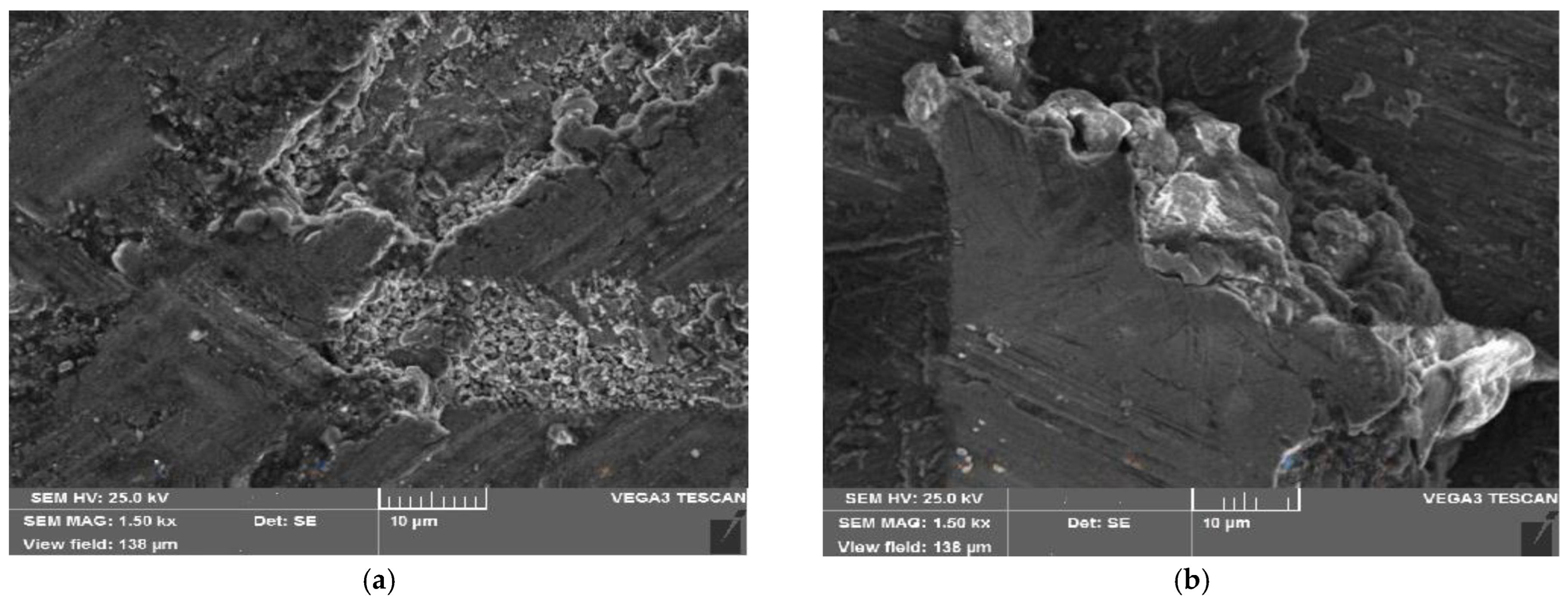 Coatings 13 01653 g010